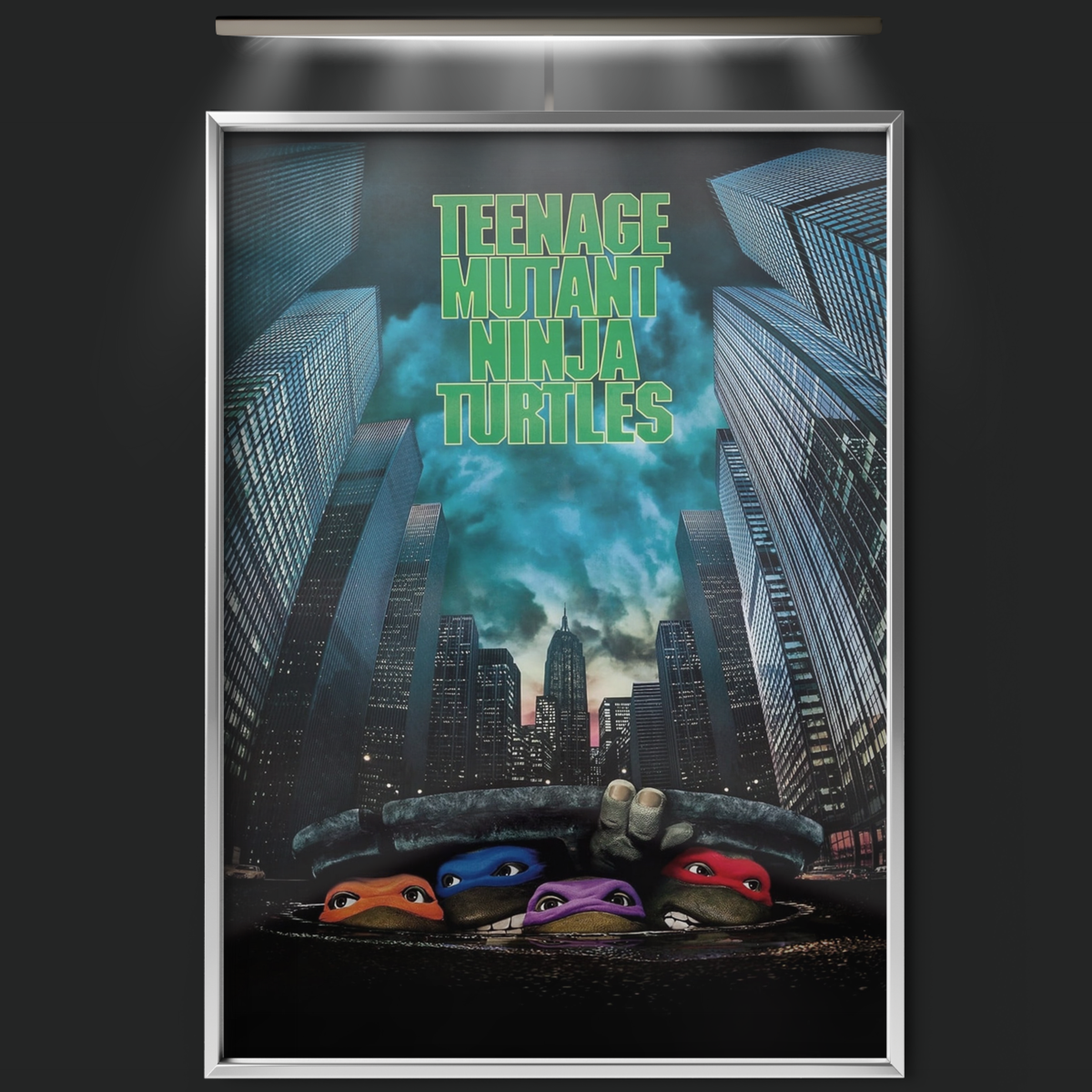 Teenage Mutant Ninja Turtles (1990)