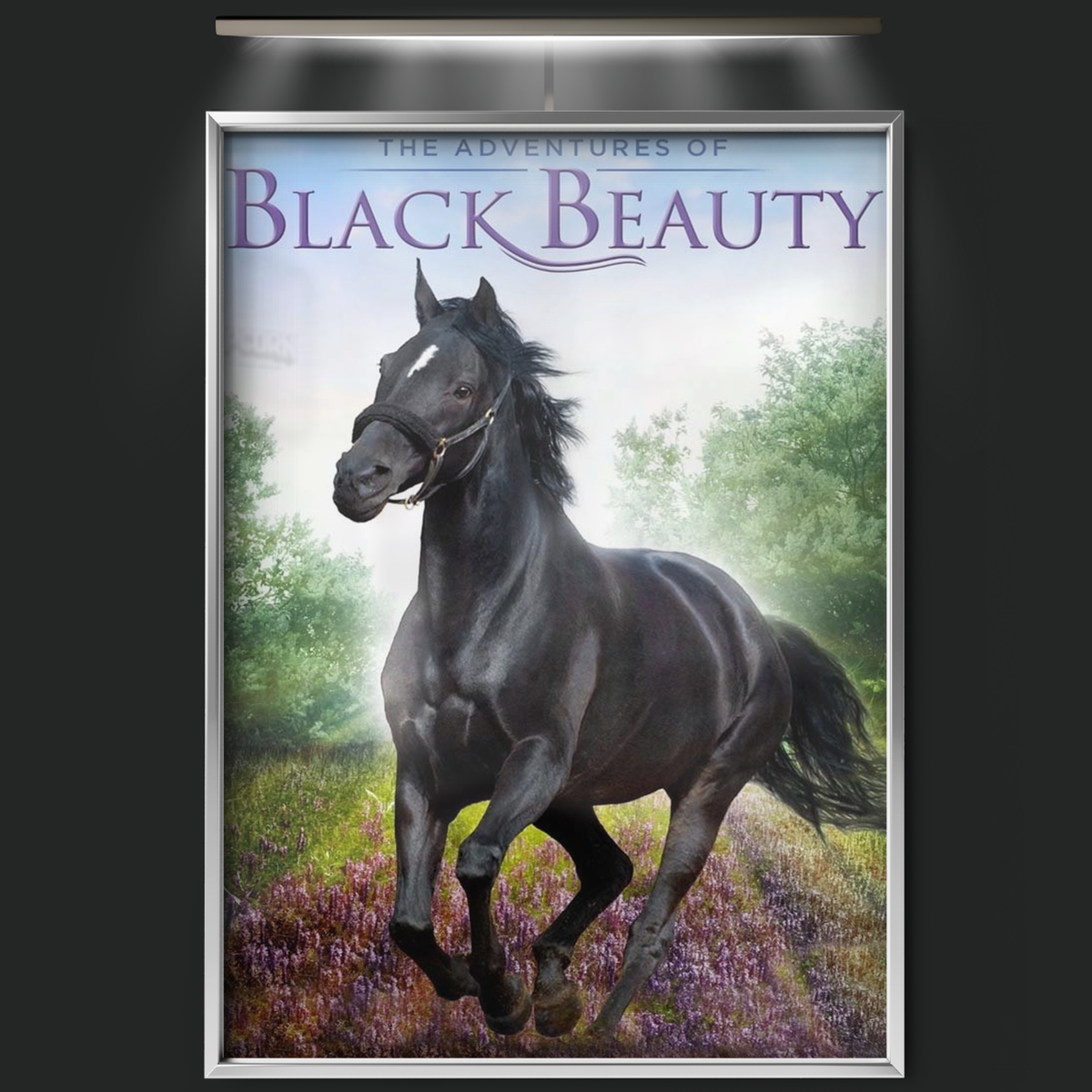The Adventures Of Black Beauty (1972)