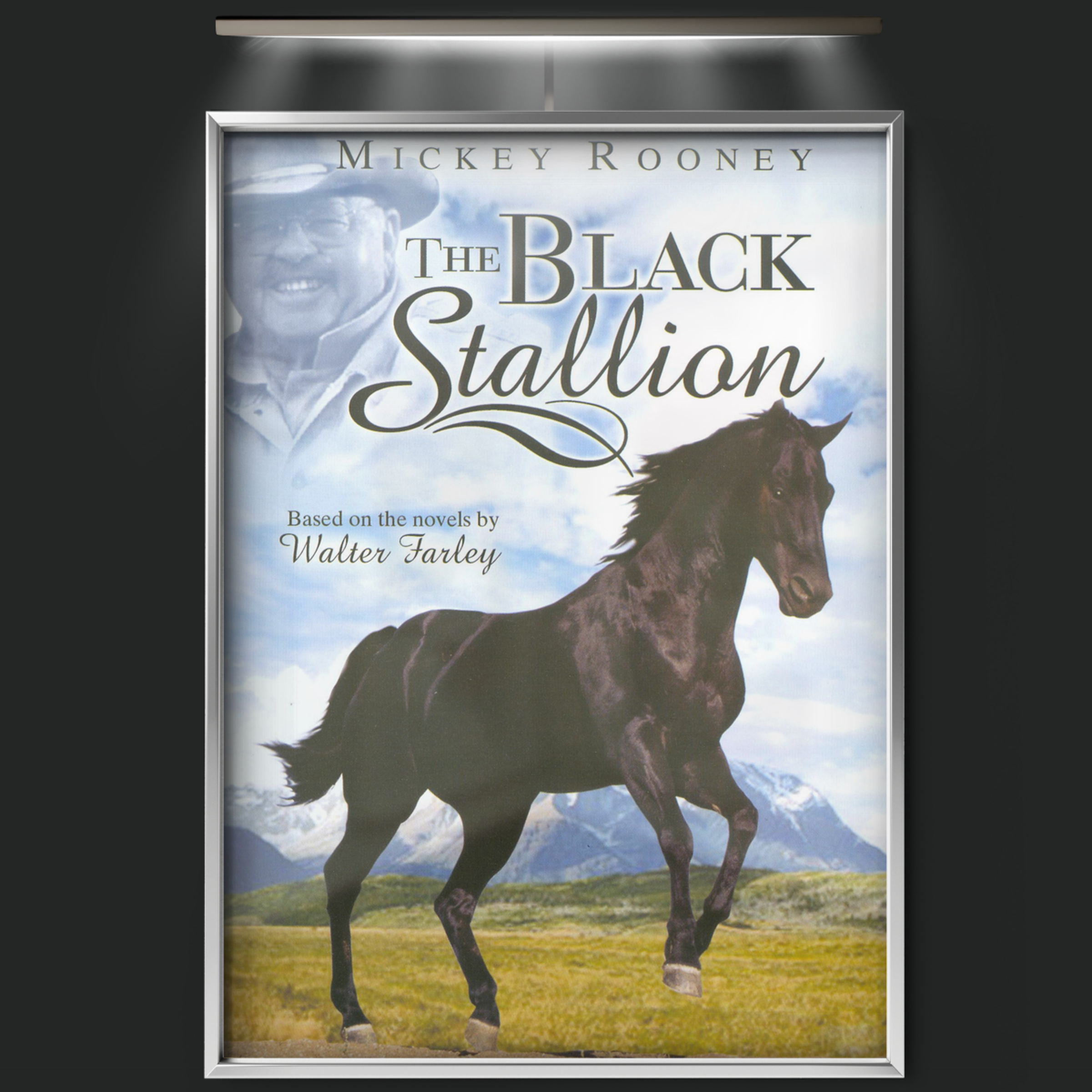 The Adventures Of The Black Stallion (1992)