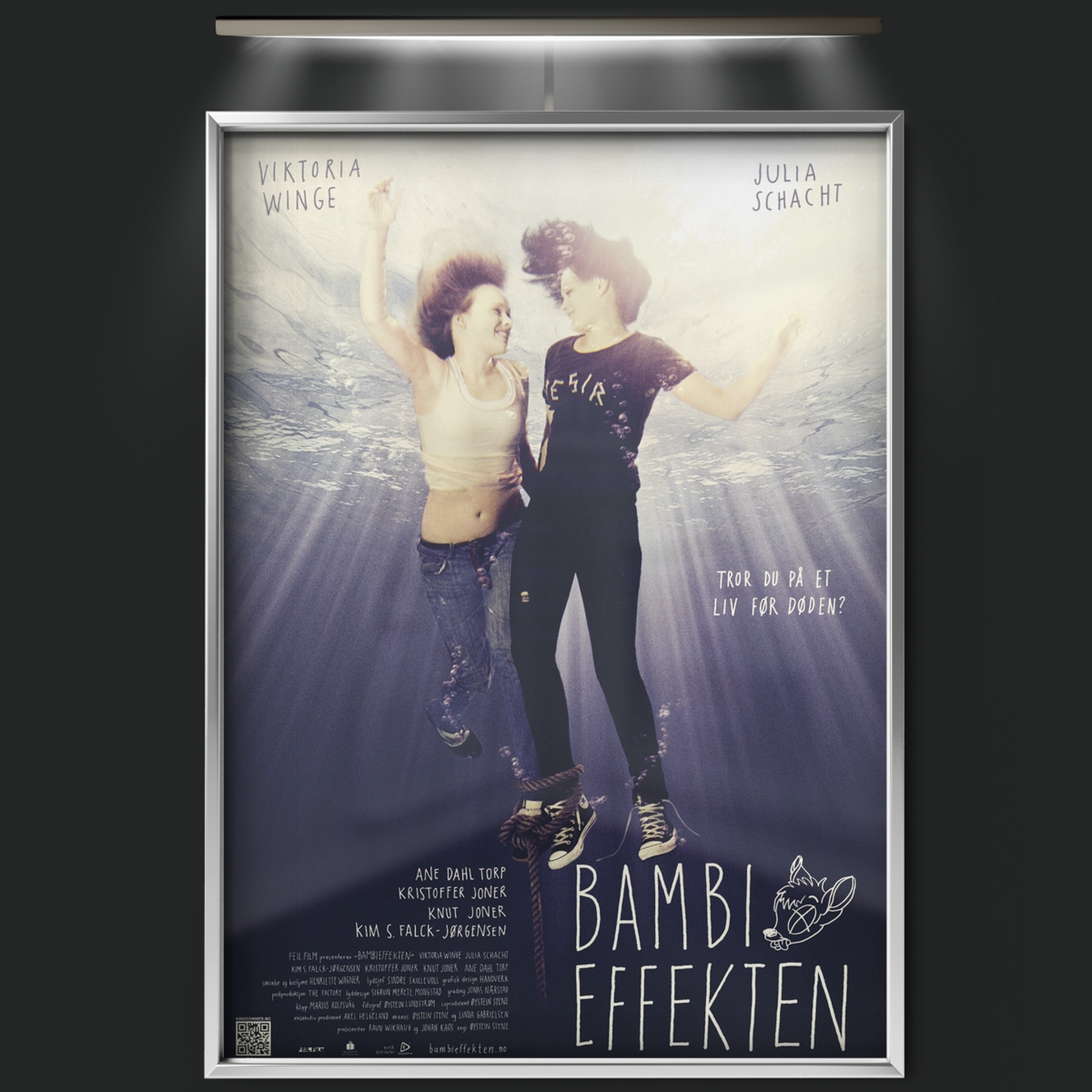 The Bambi Effect (2011)
