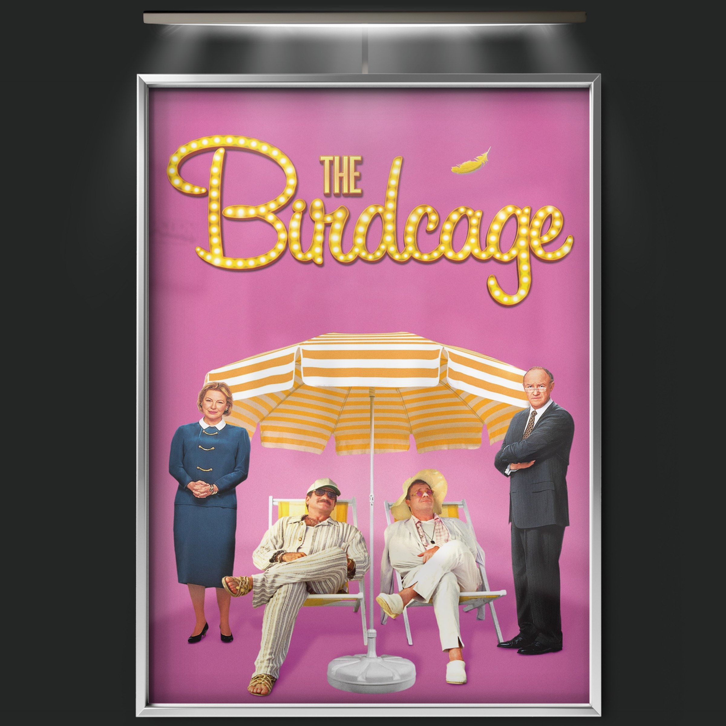 The Birdcage (1996)