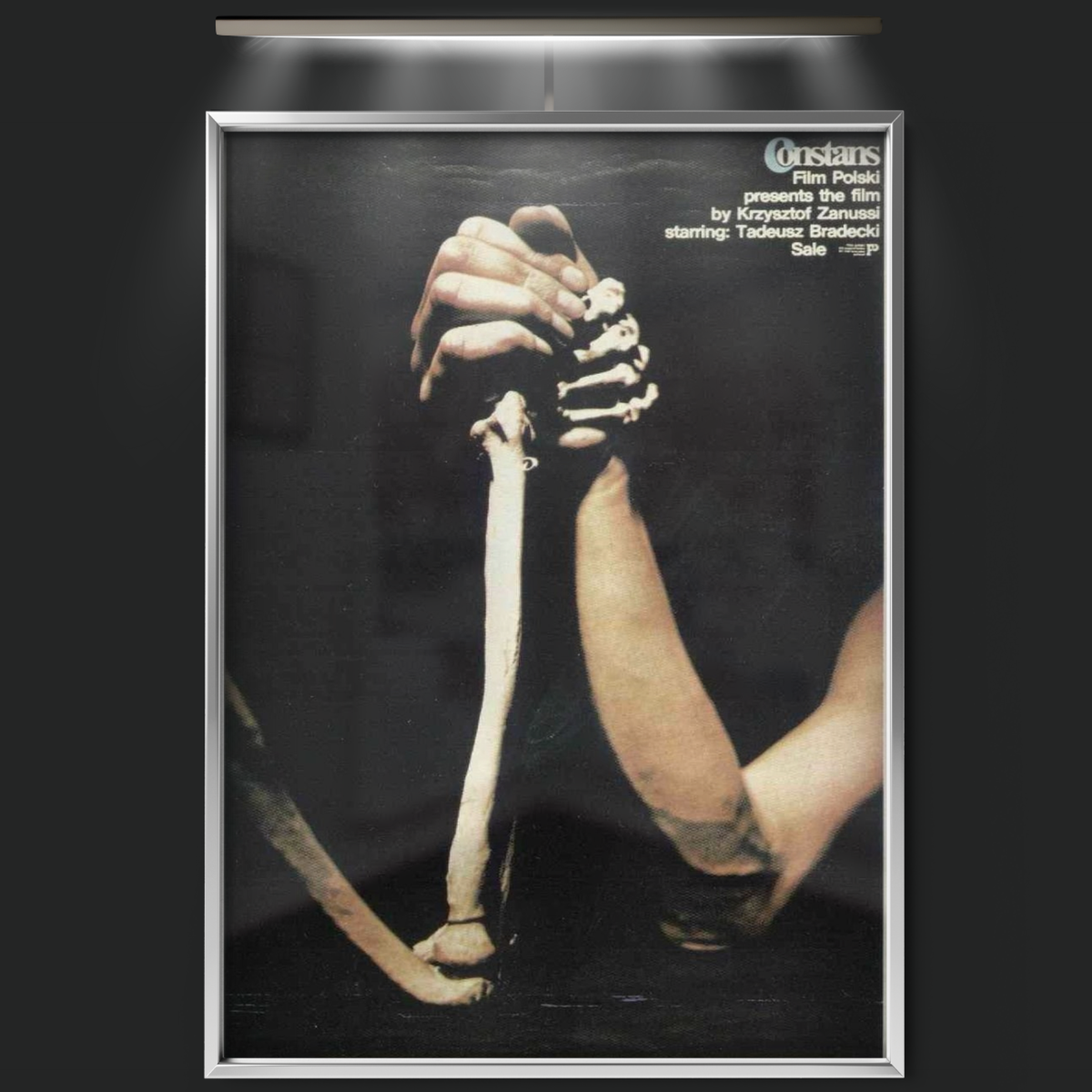 The Constant Factor (1980)