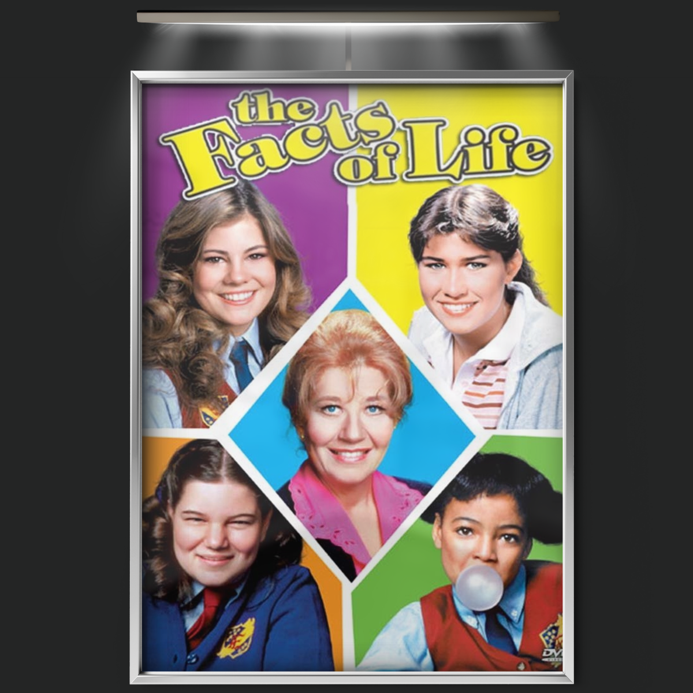 The Facts Of Life (1979)