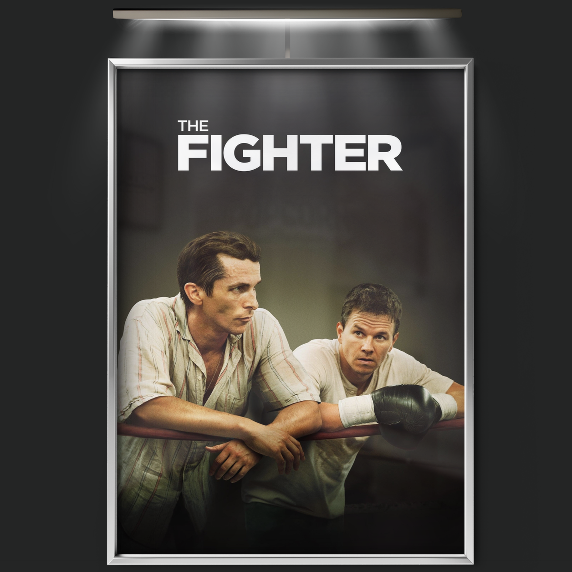 The Fighter (2010)