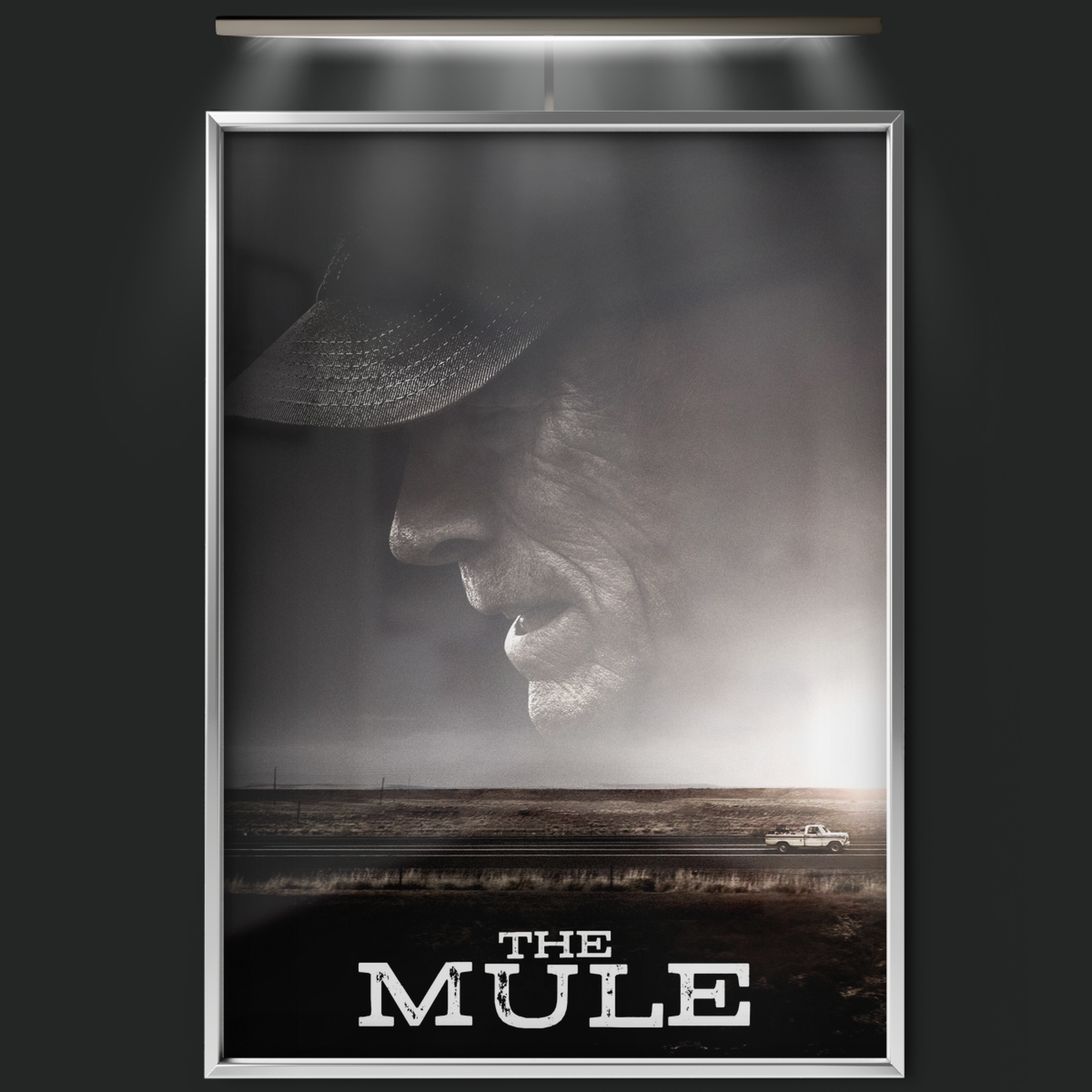 The Mule (2018)