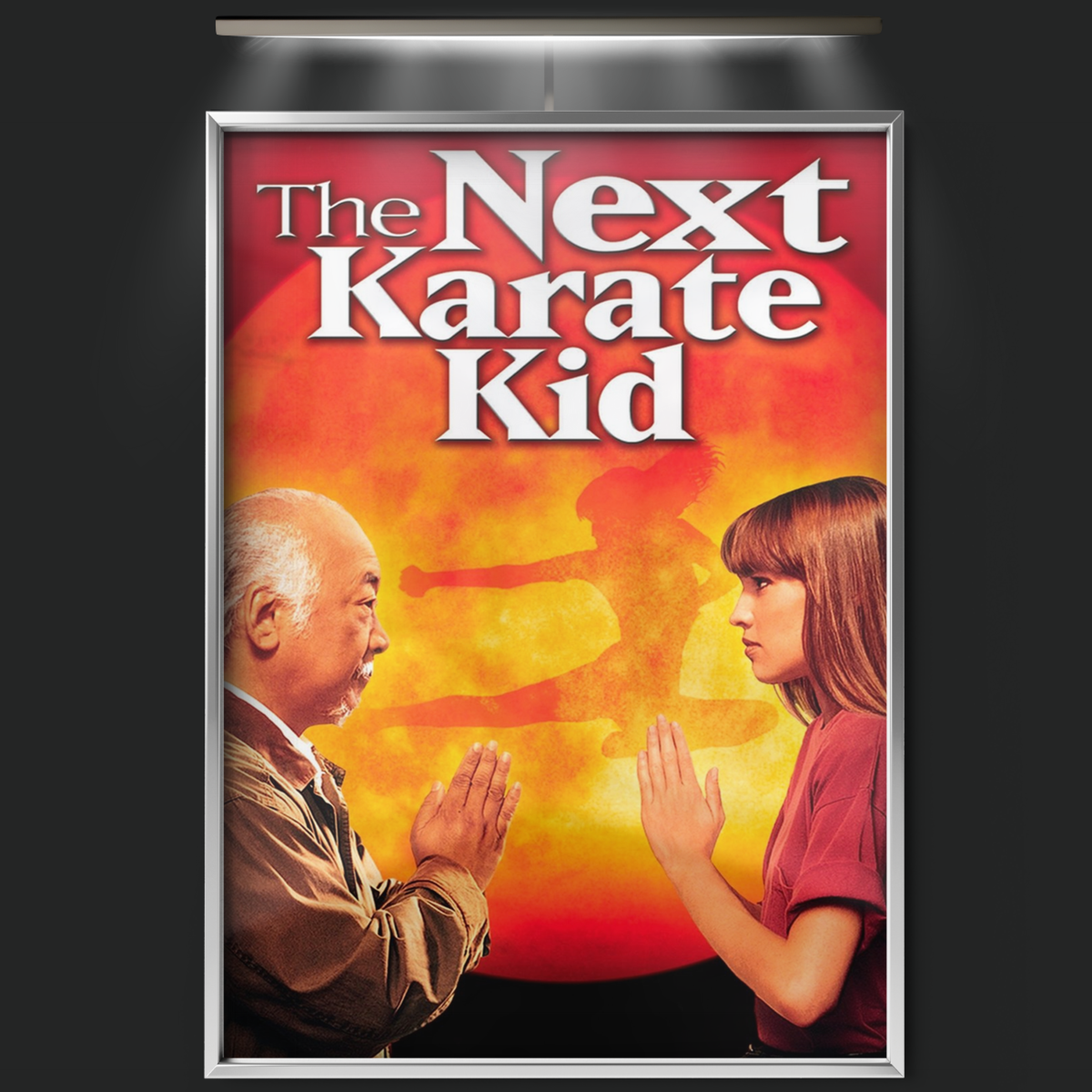 The Next Karate Kid (1994)