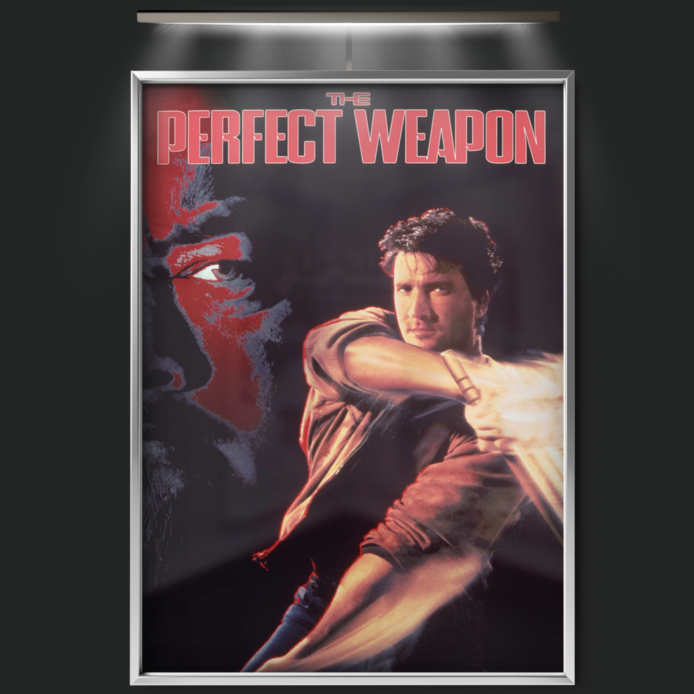 The Perfect Weapon (1991)
