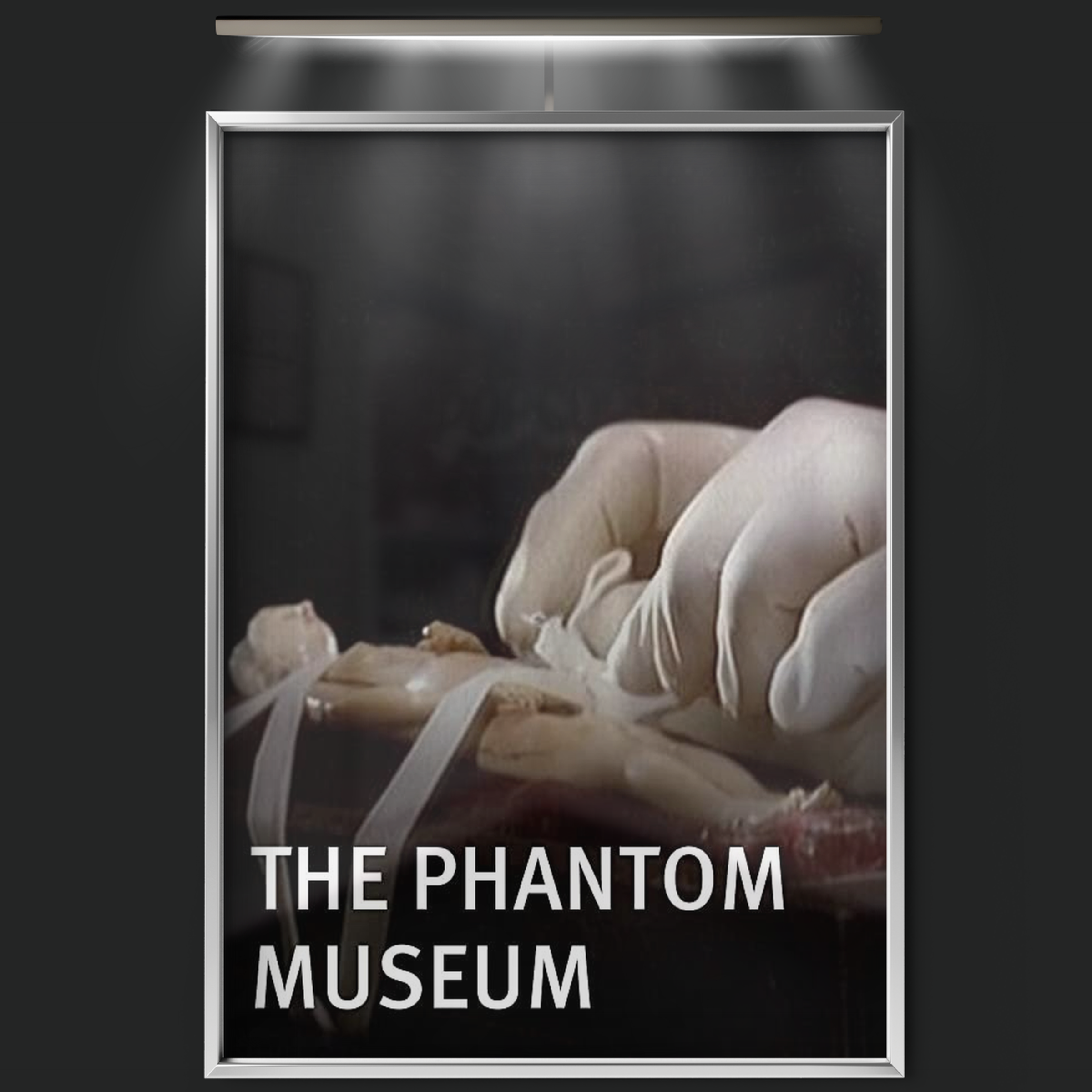 The Phantom Museum Random Forays Into The Vaults Of Sir Henry Wellcome's Medical Collection (2003)