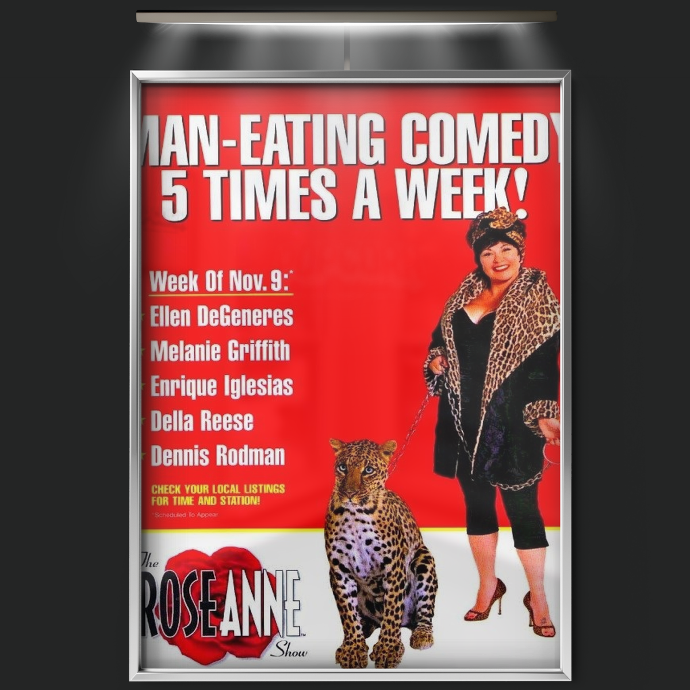The Roseanne Show (1998)