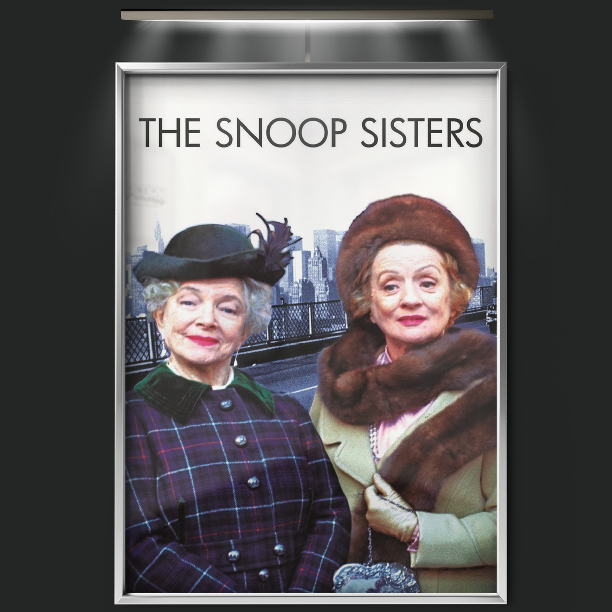 The Snoop Sisters (1973)