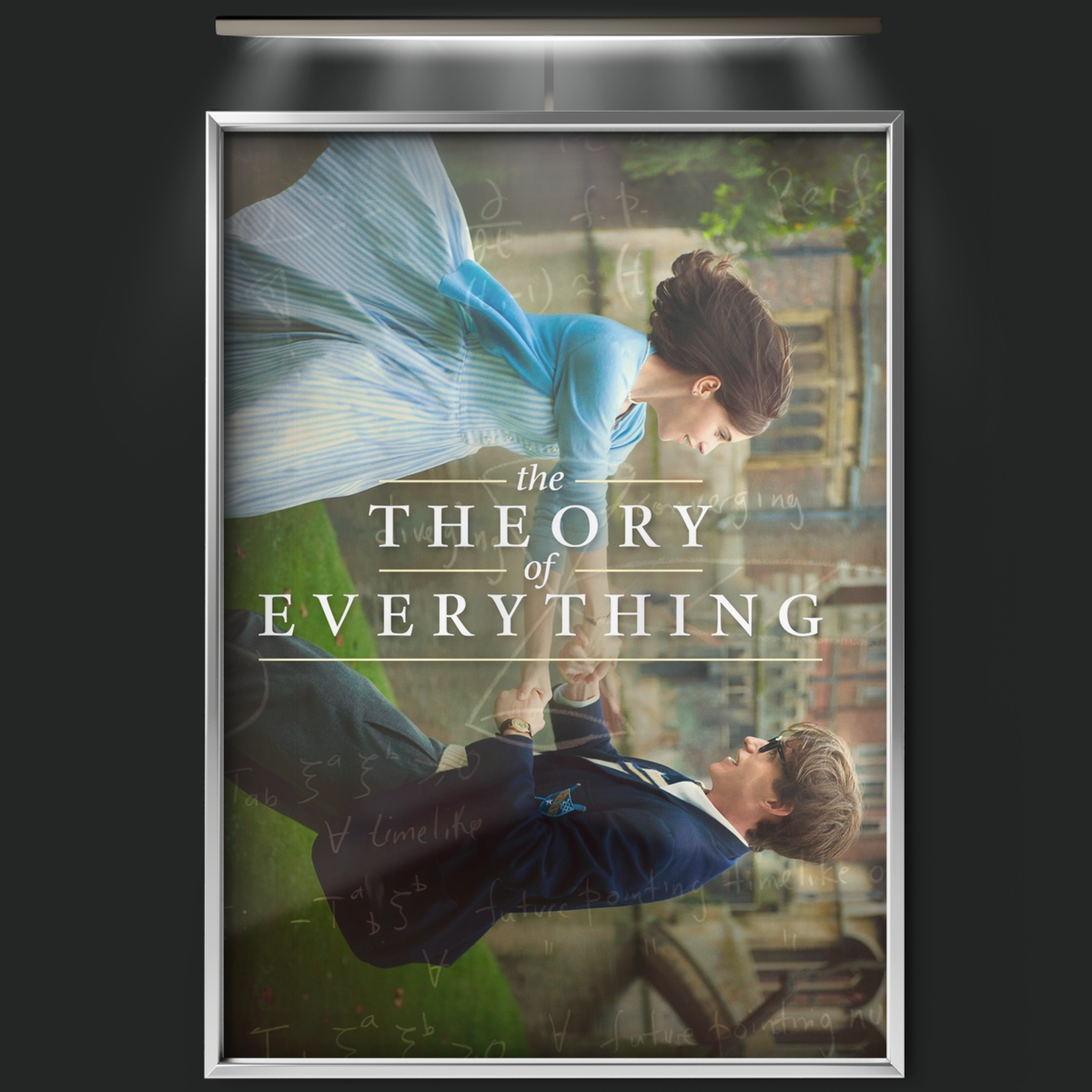 The Theory Of Everything (2014)