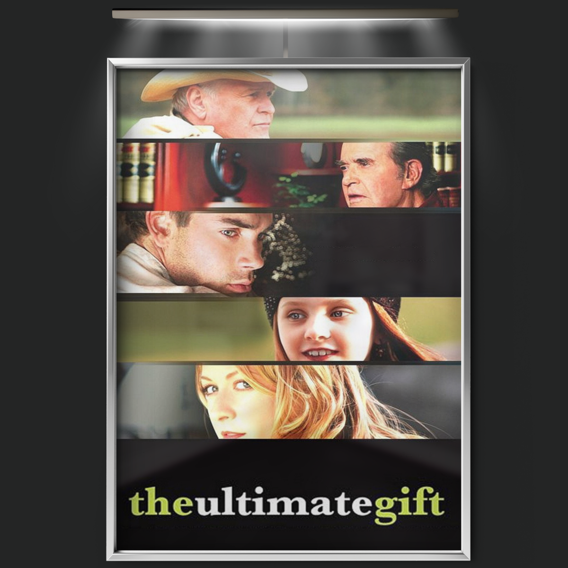 The Ultimate Gift (2007)