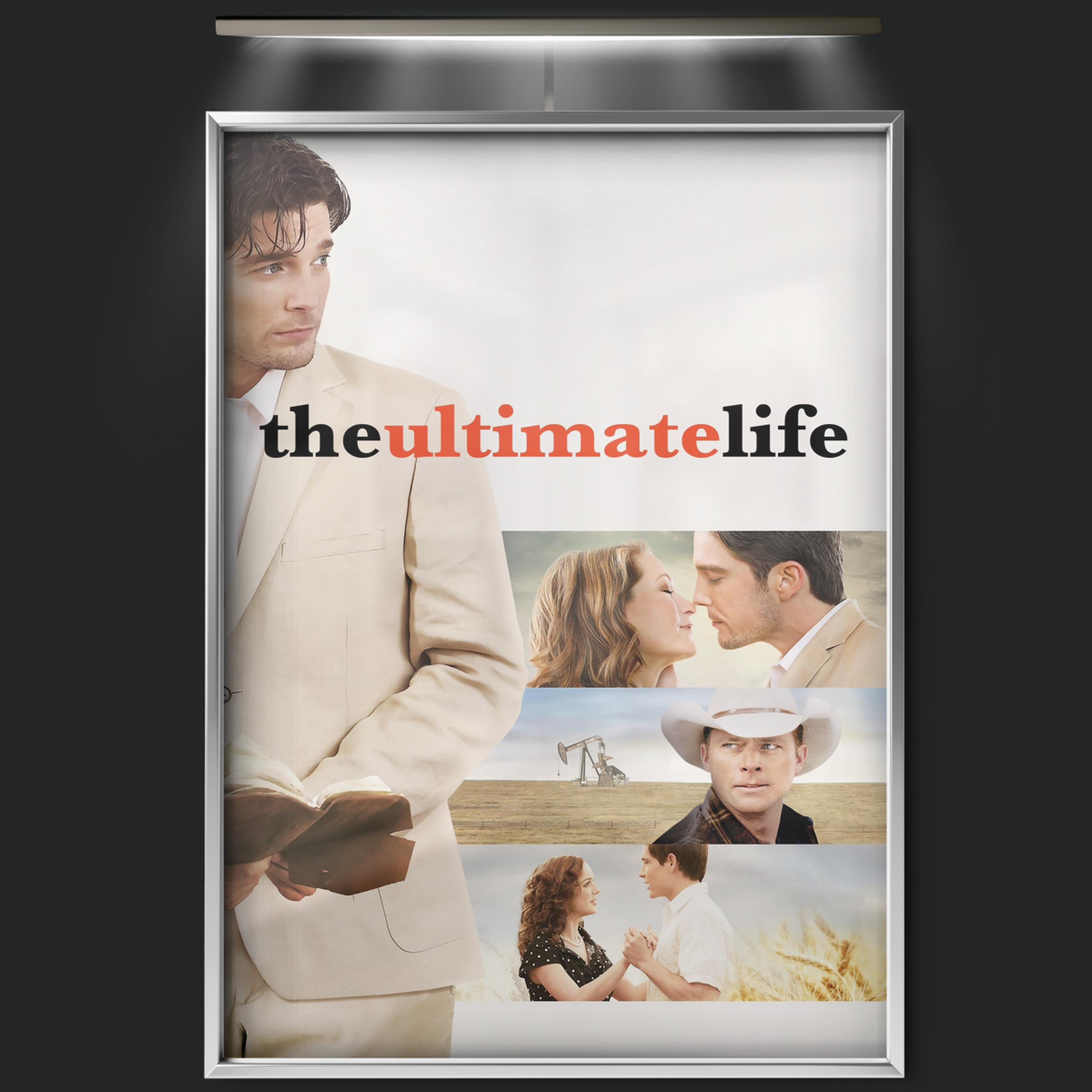 The Ultimate Life (2013)
