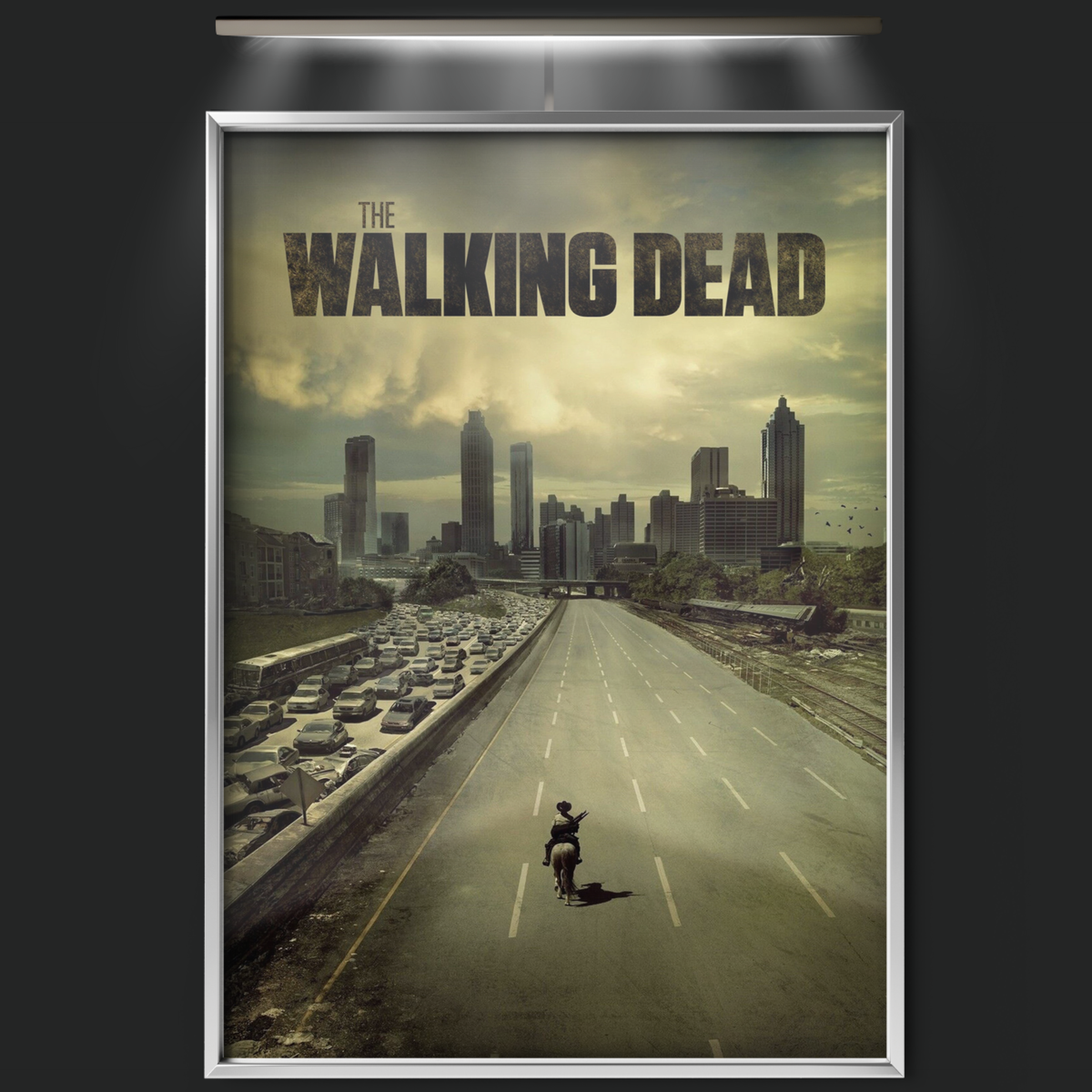 The Walking Dead (2010)