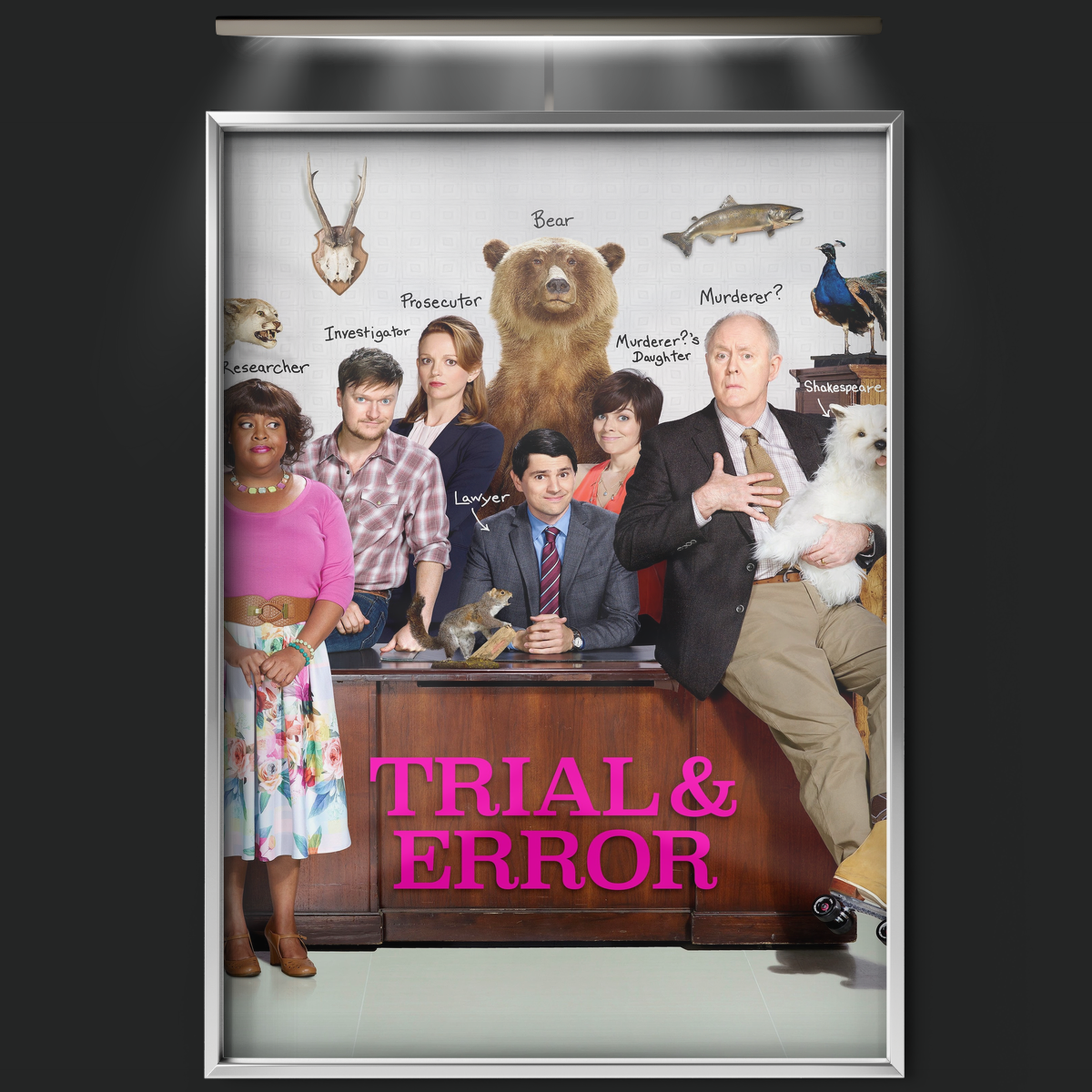 Trial & Error (2017)