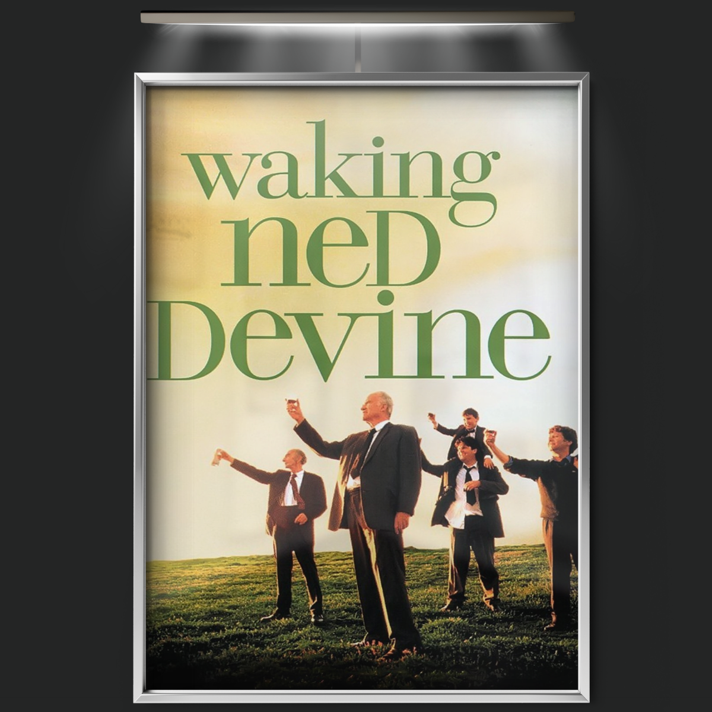 Waking Ned (1998)