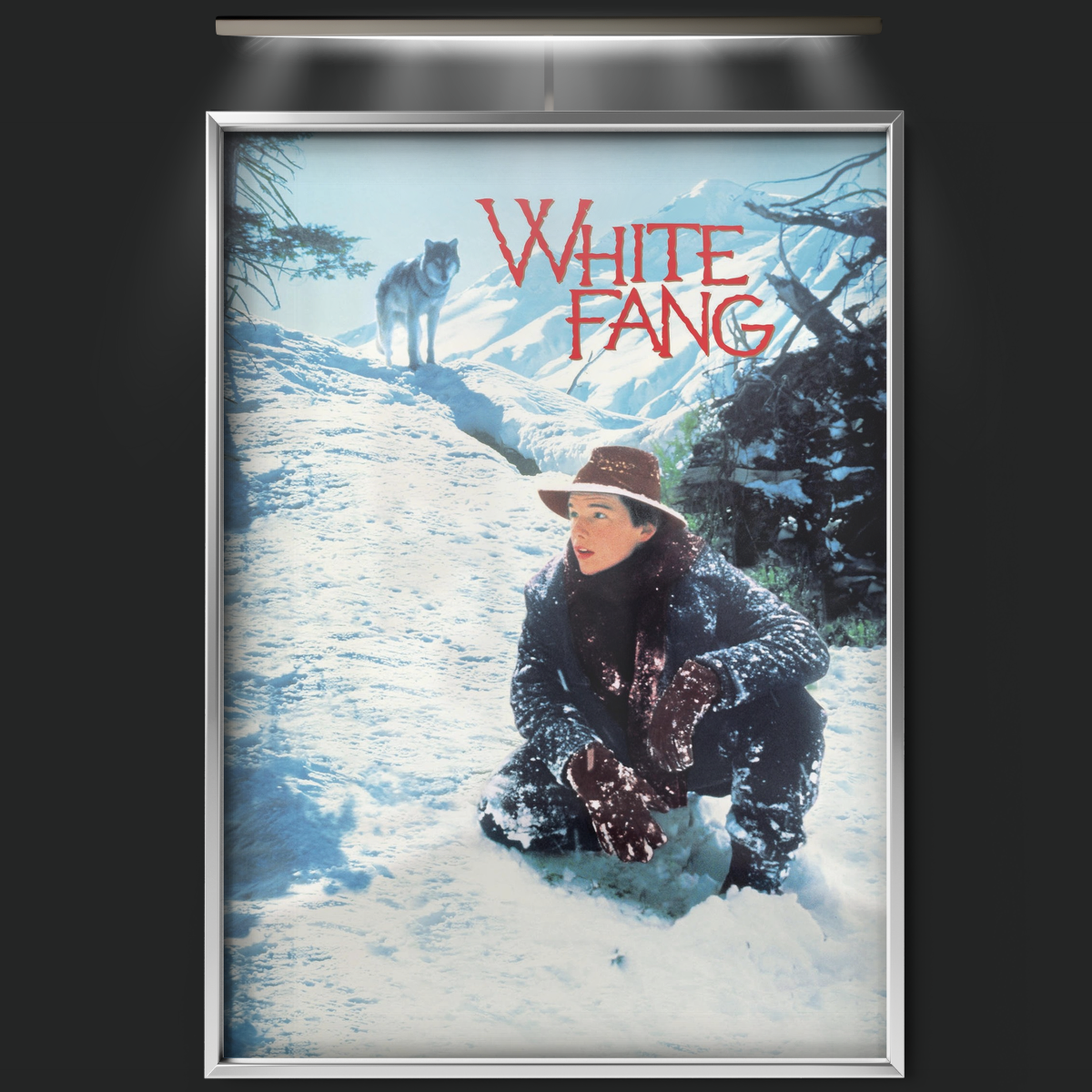 White Fang (1991)