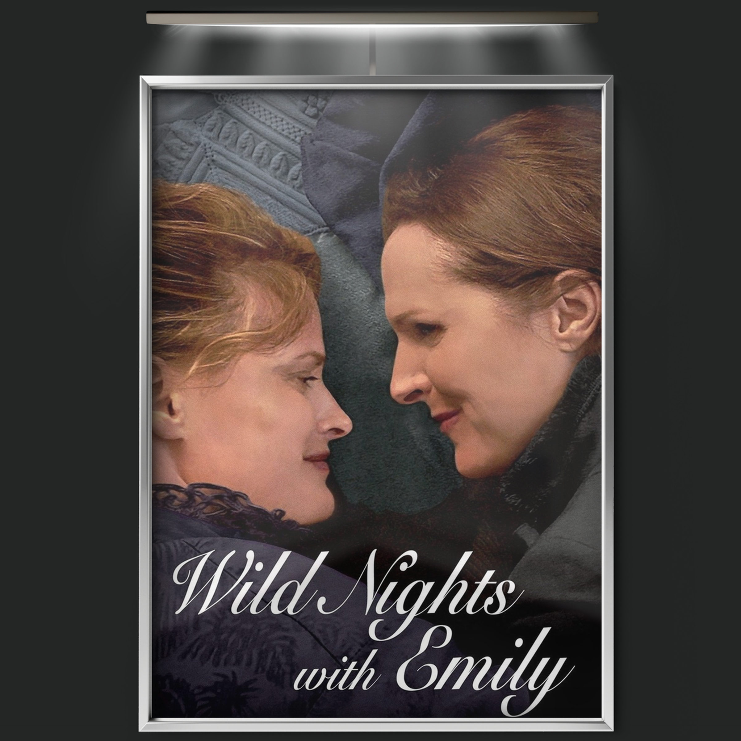Wild Nights With Emily (2018)