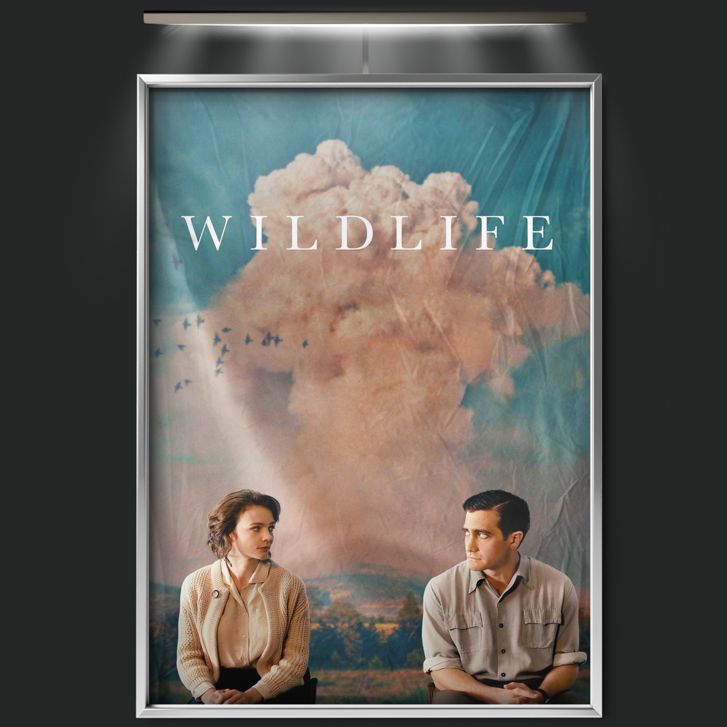 Wildlife (2018)