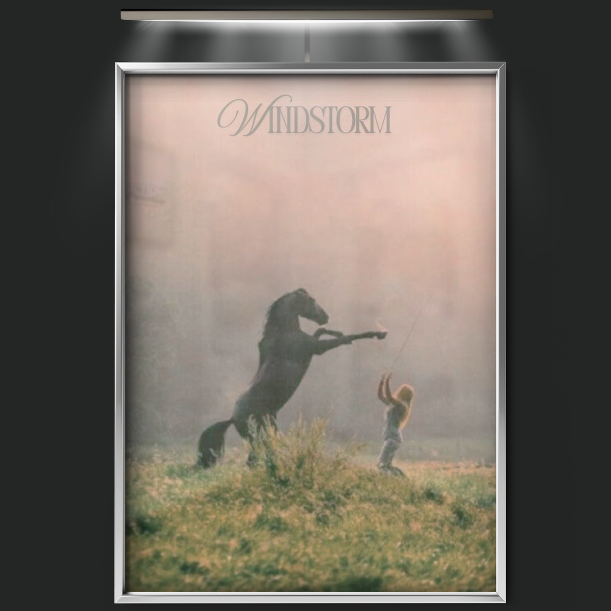 Windstorm (2013)