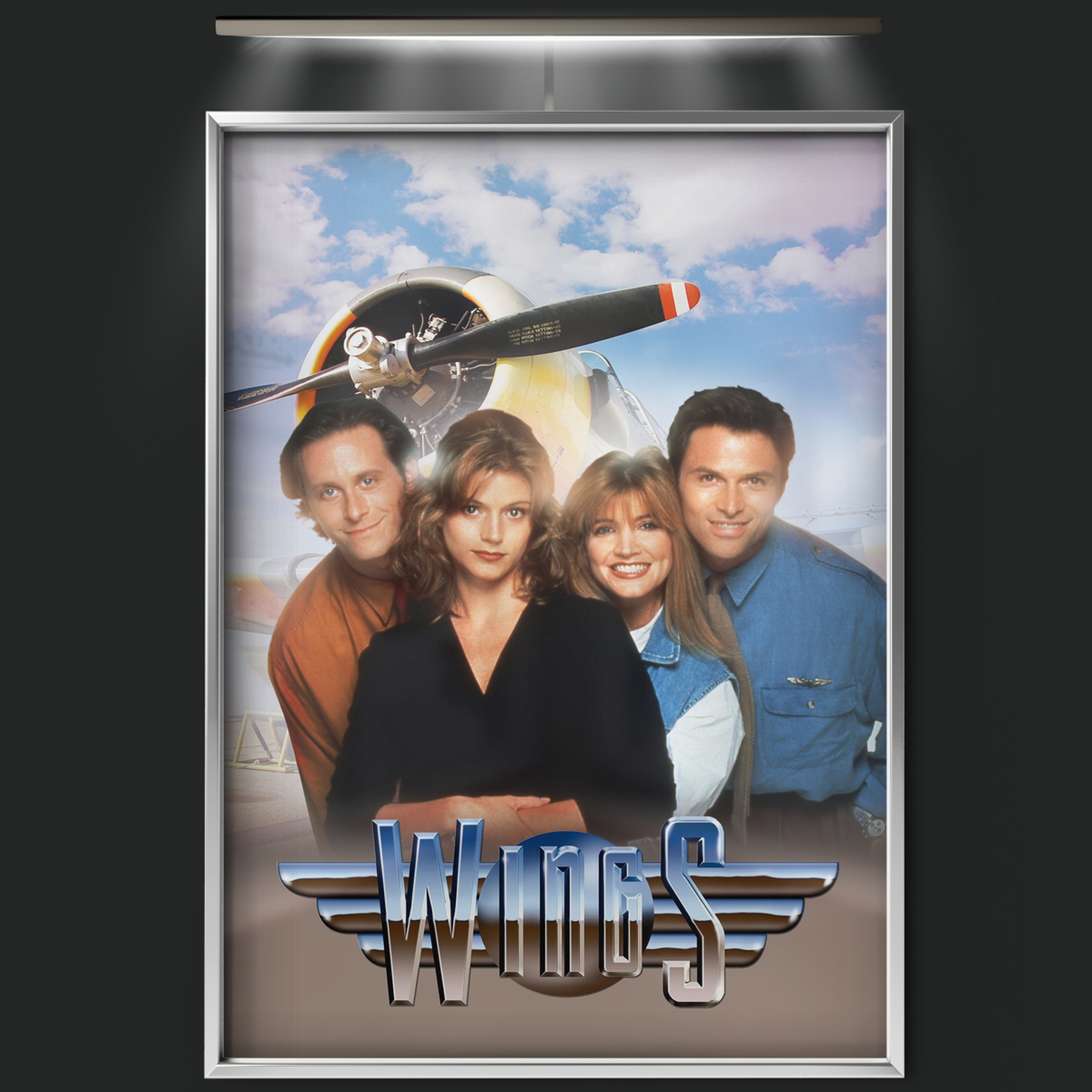 Wings (1990)