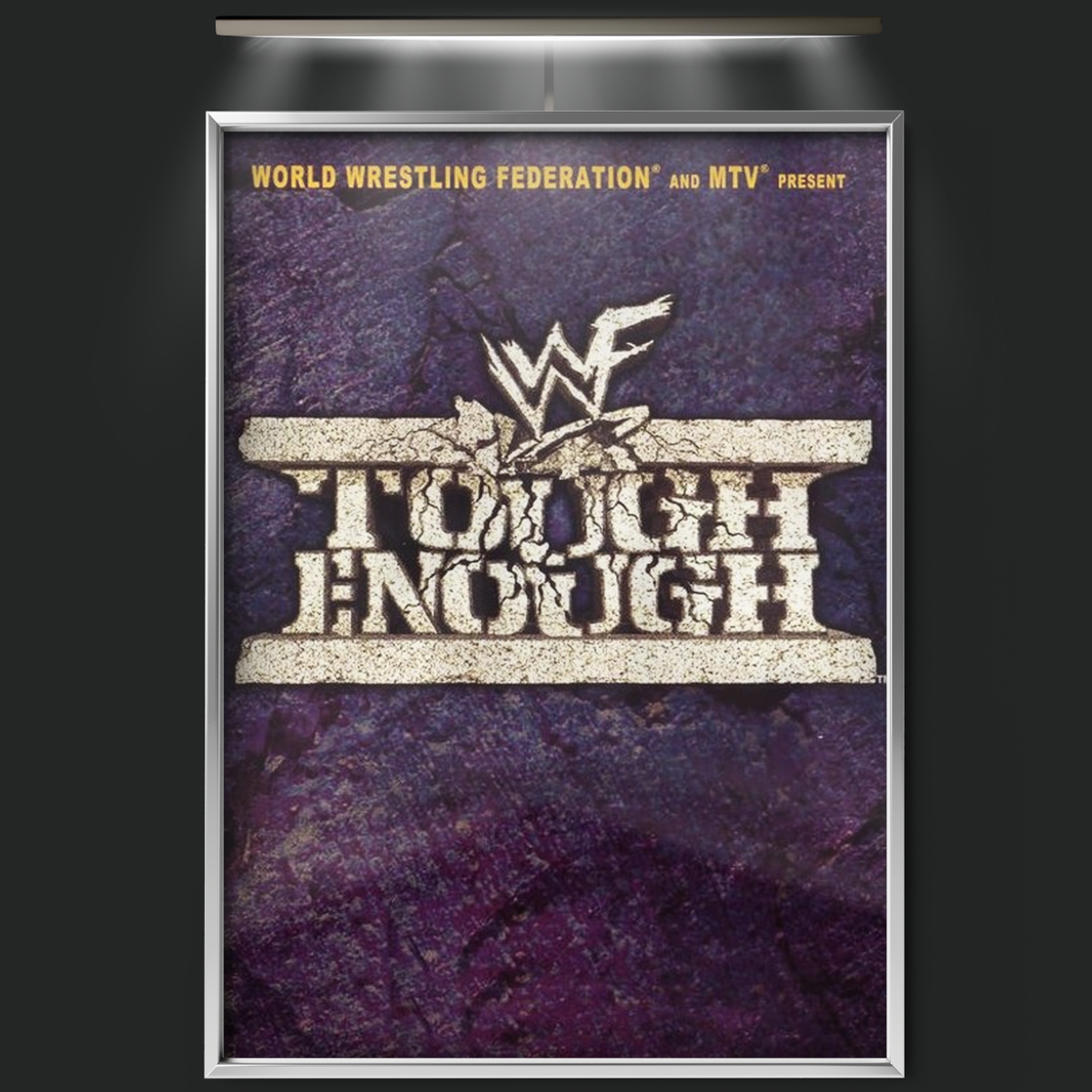 Wwe Tough Enough (2001)