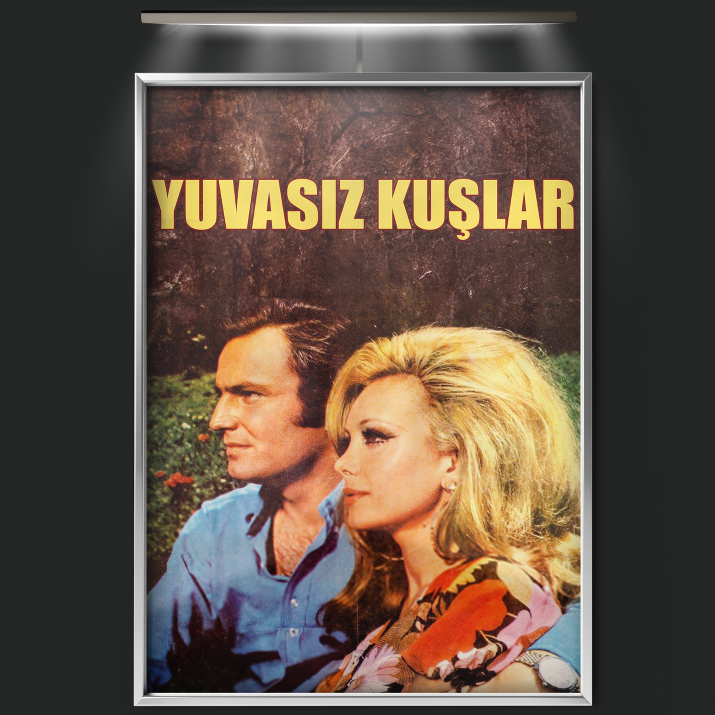 Yuvasız Kuşlar (1971)