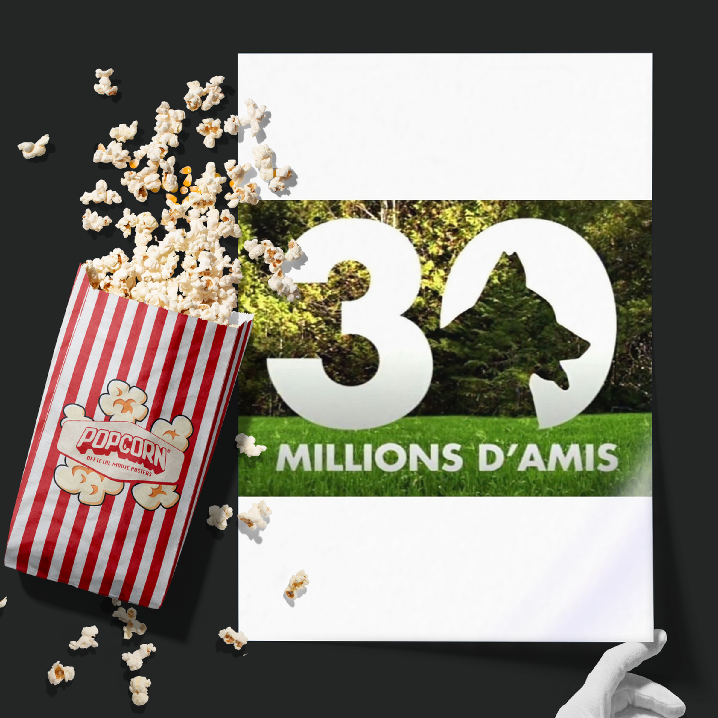 30 Millions D'amis (1976)