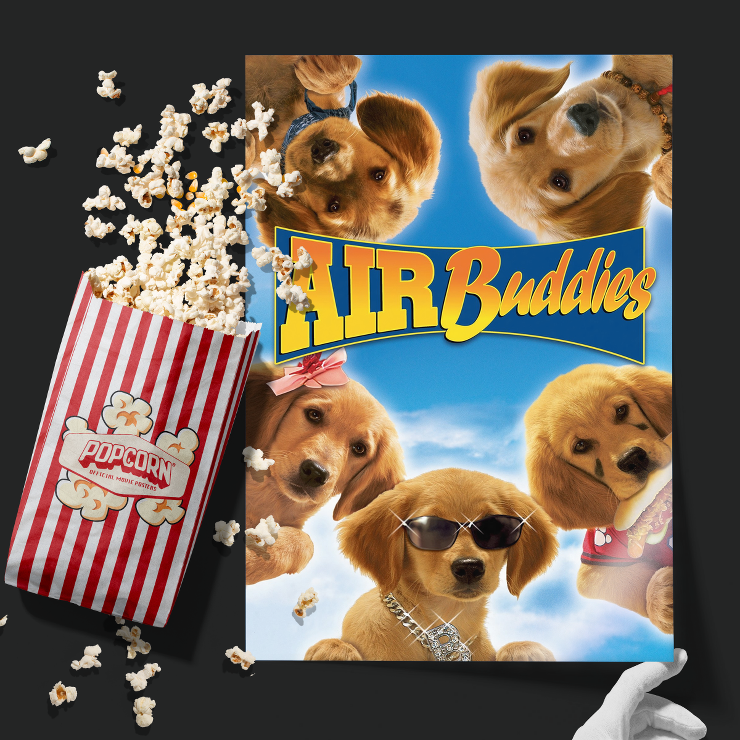 Air Buddies (2006)