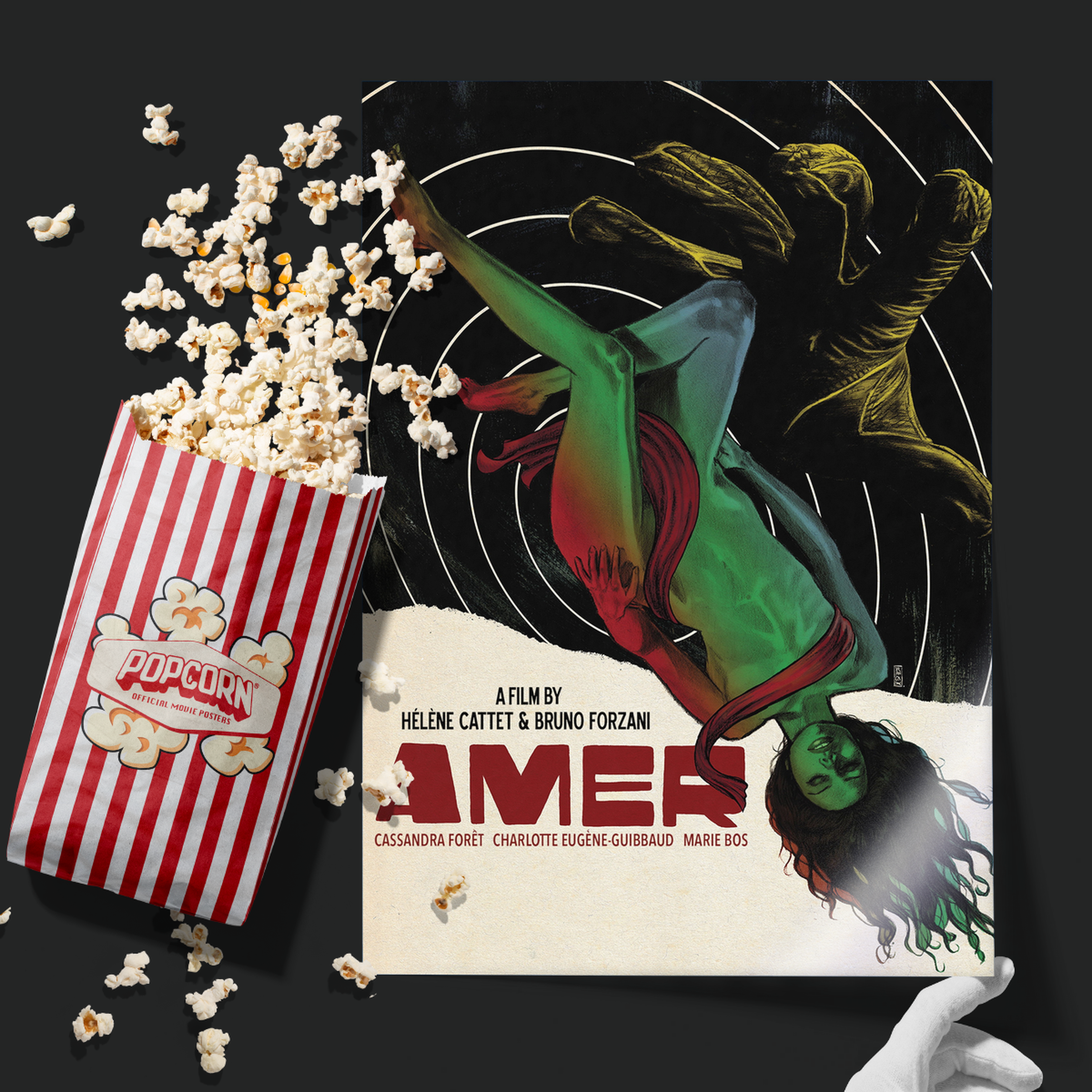 Amer (2009)