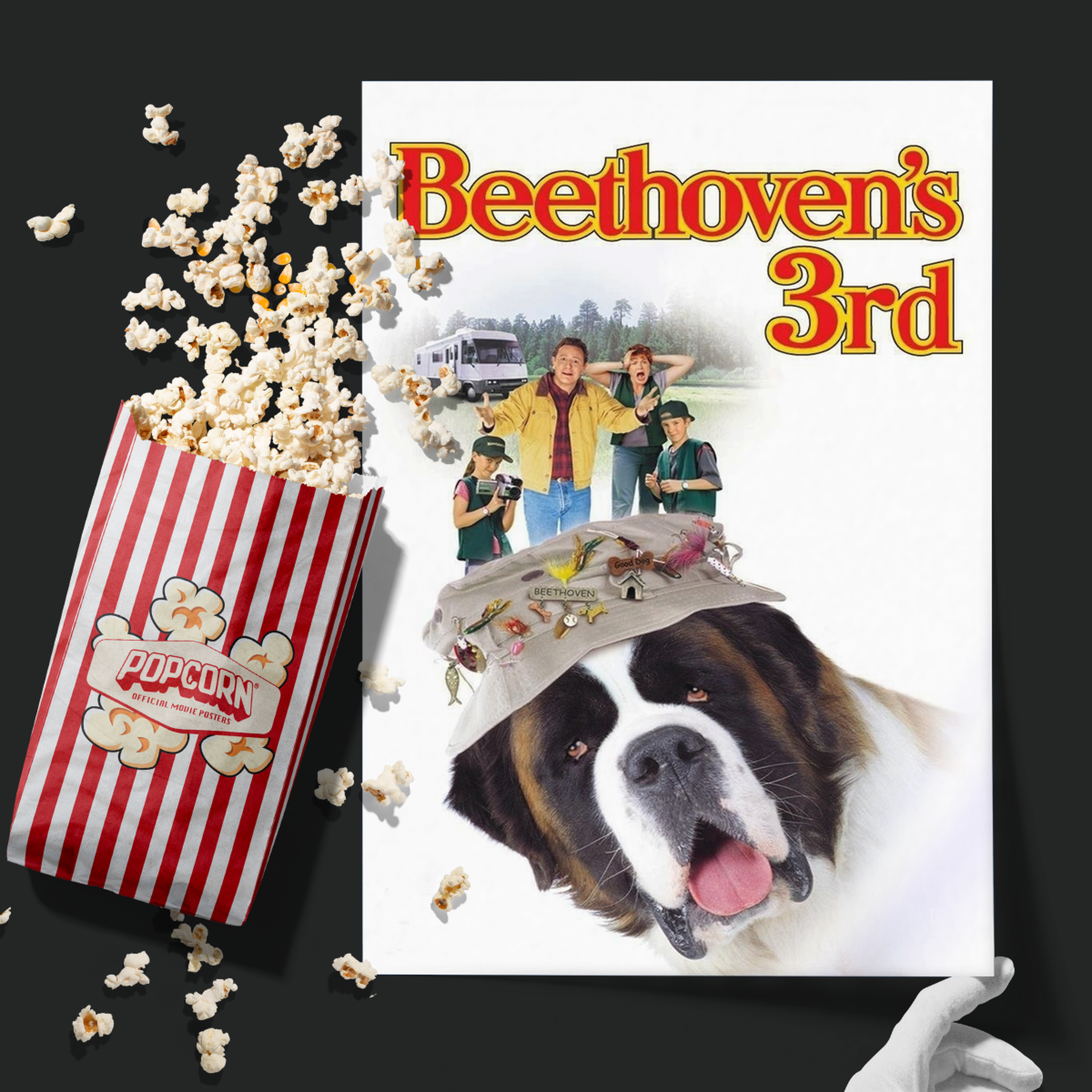 Beethoven's 3rd (2000)