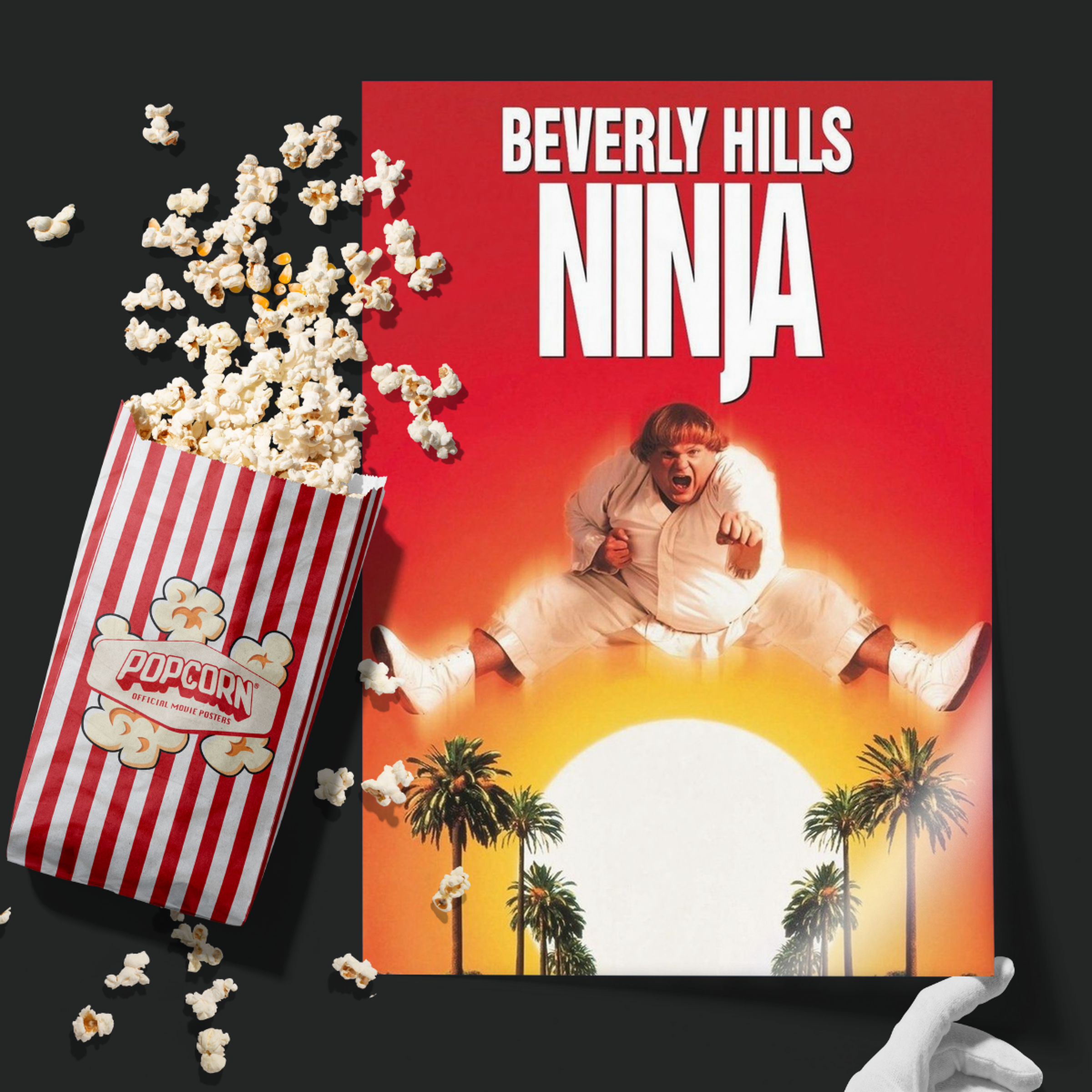Beverly Hills Ninja (1997)