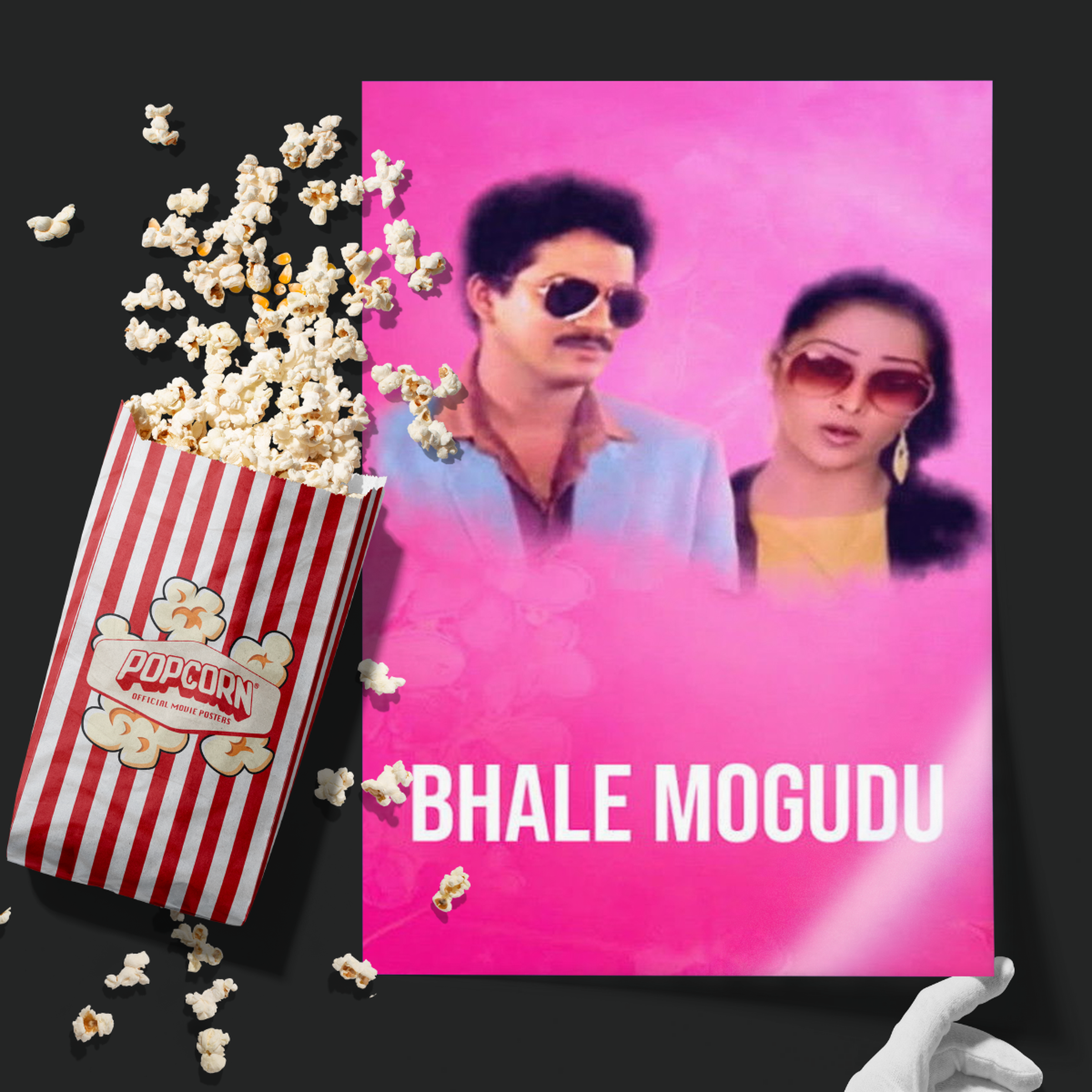 Bhale Mogudu (1987)
