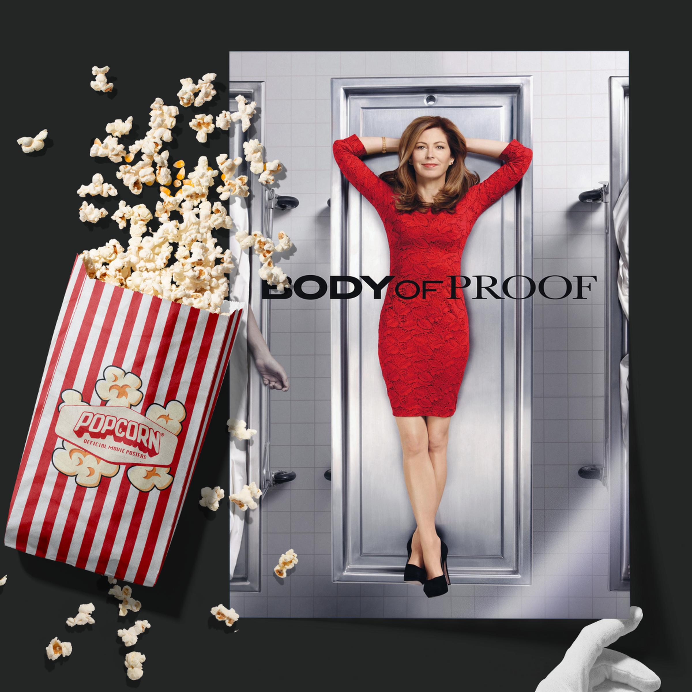 Body Of Proof (2011)