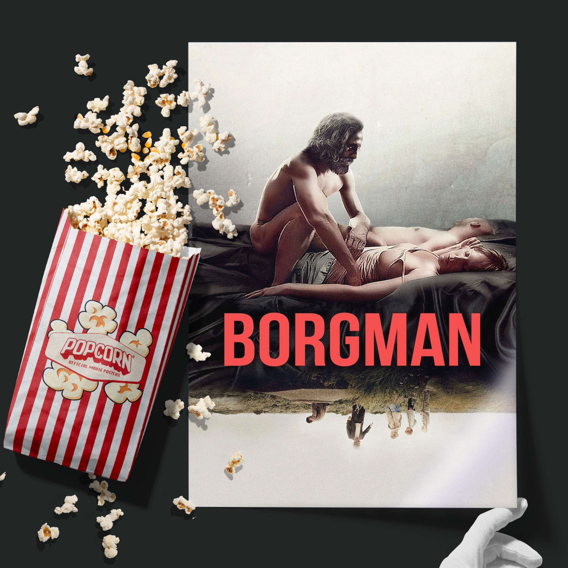 Borgman (2013)
