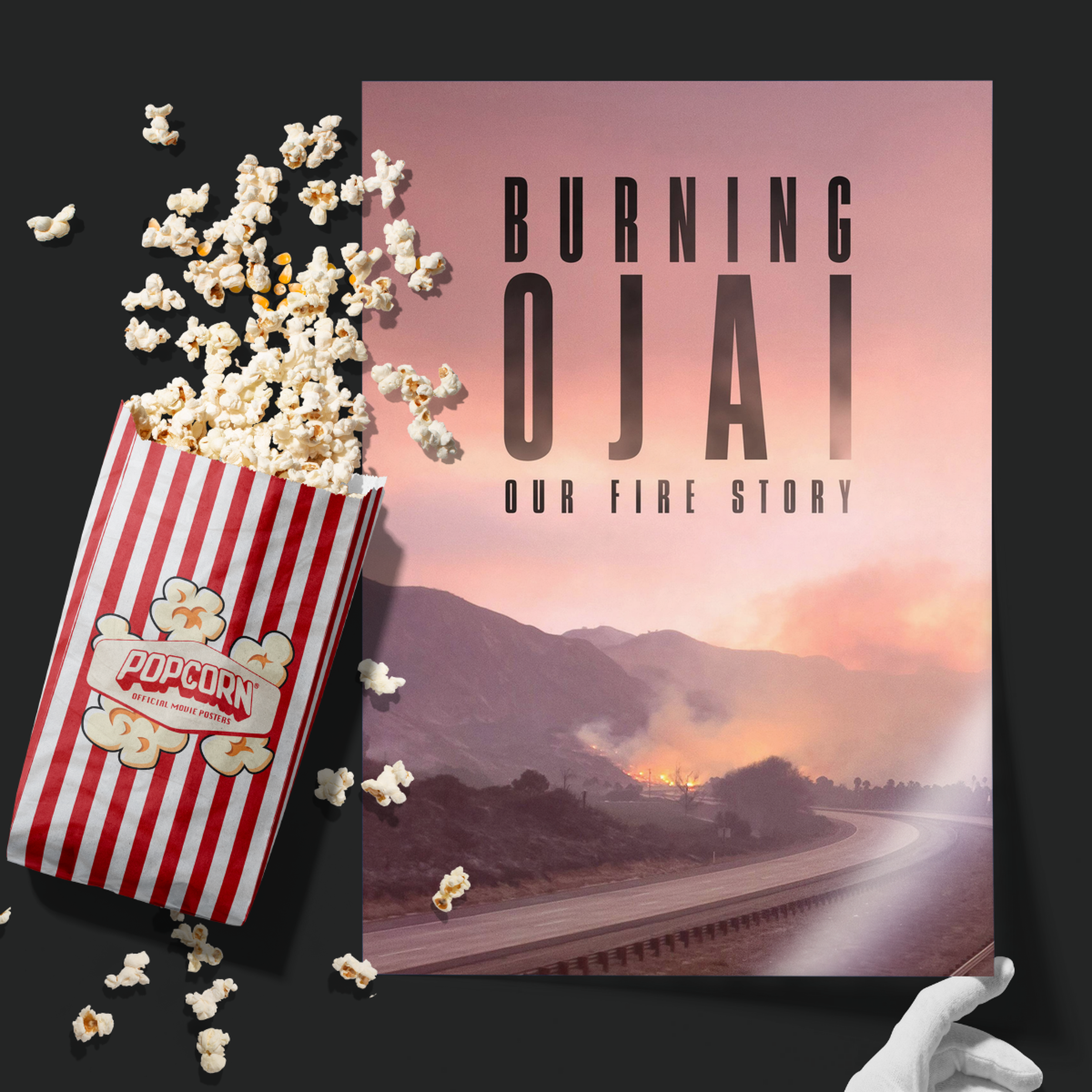 Burning Ojai Our Fire Story (2020)