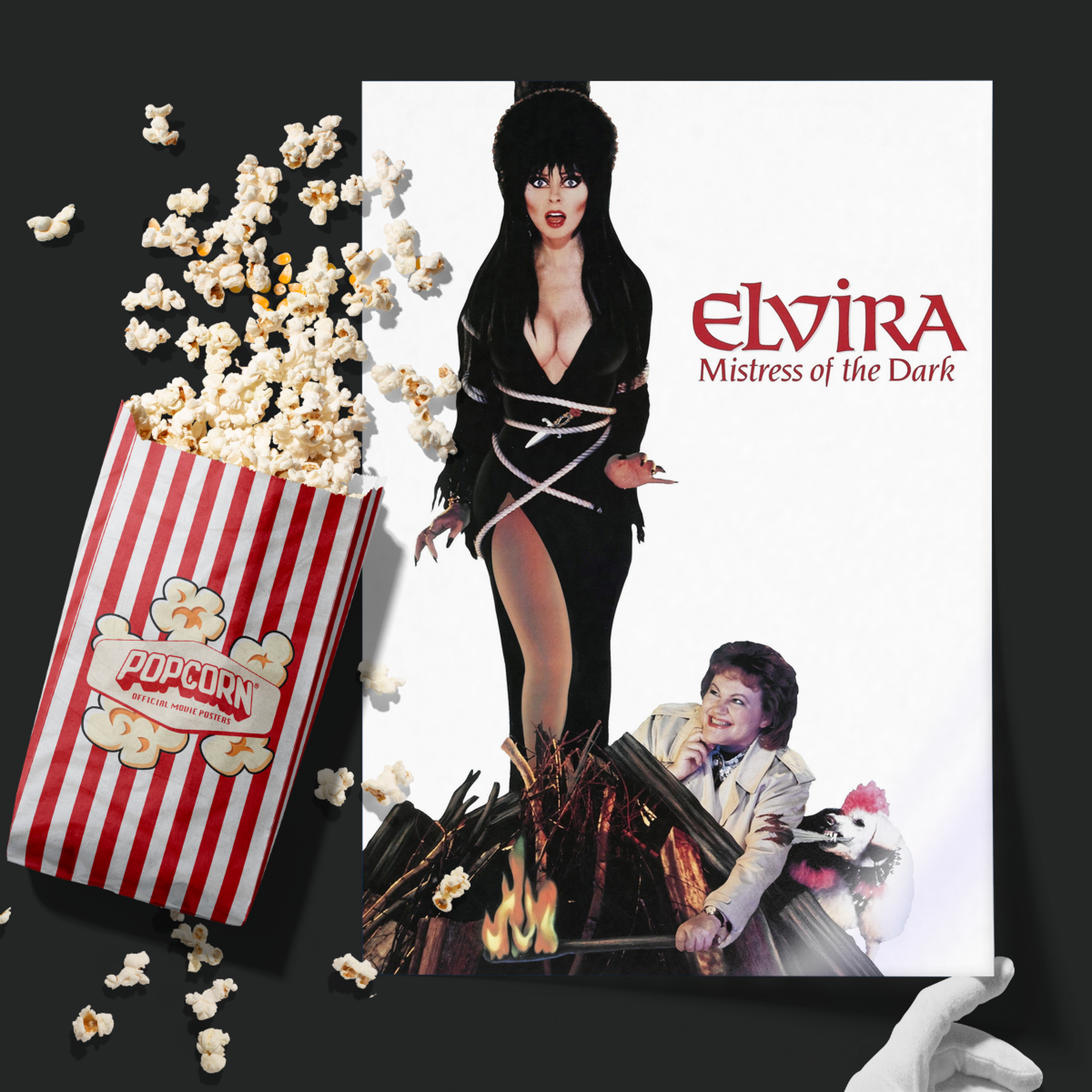 Elvira Mistress Of The Dark (1988)