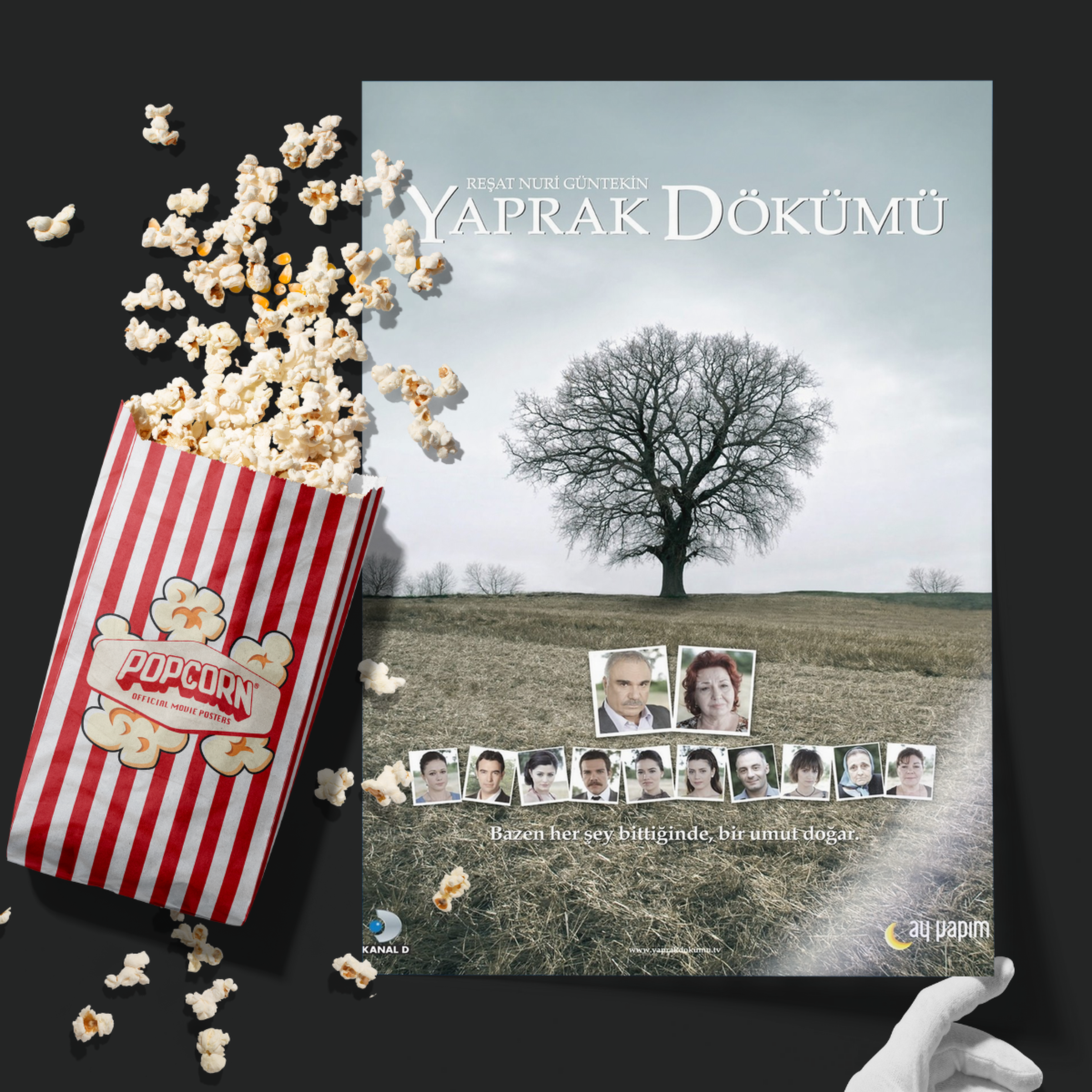 Falling Leaves (2006)