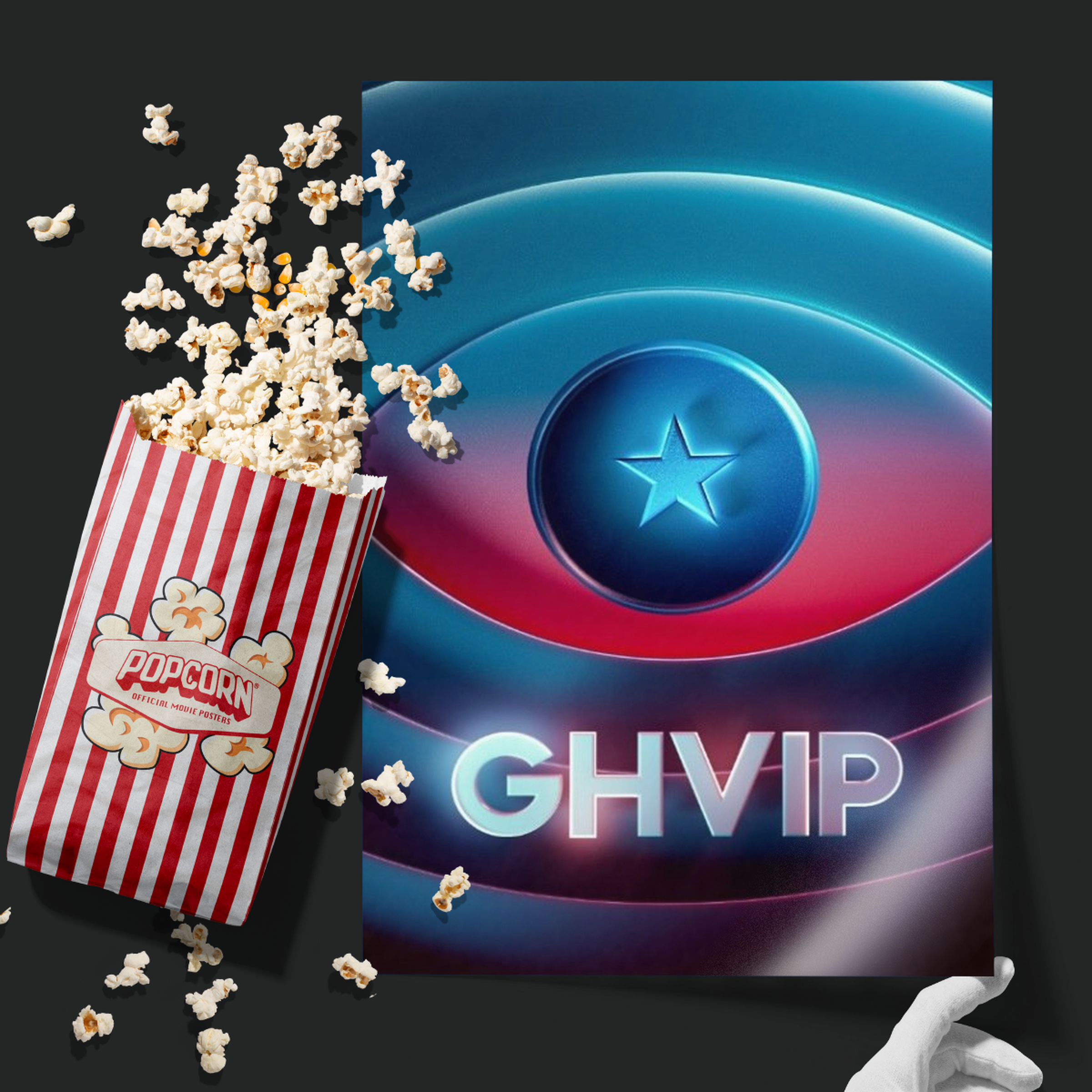 Gran Hermano Vip (2004)