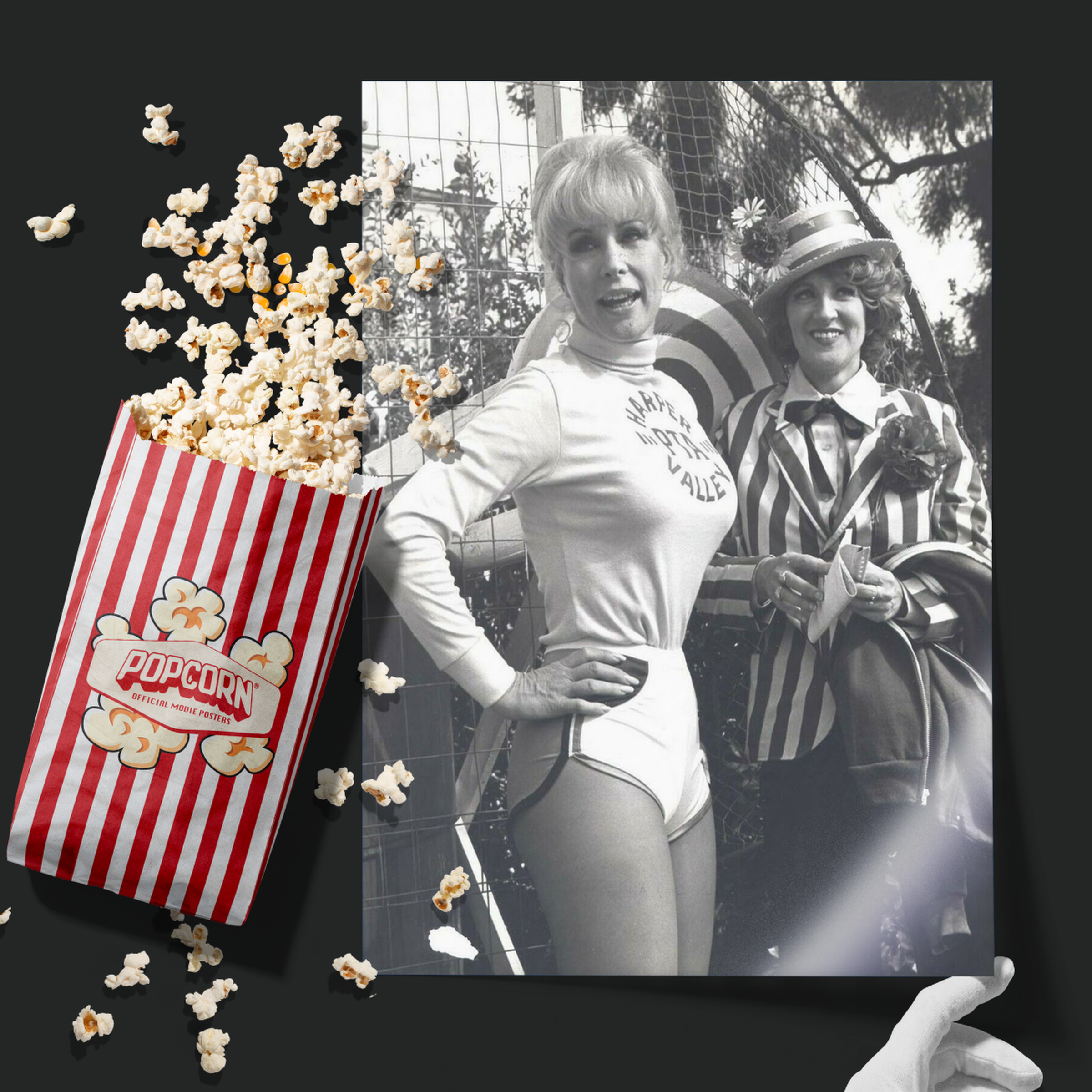Harper Valley (1981)