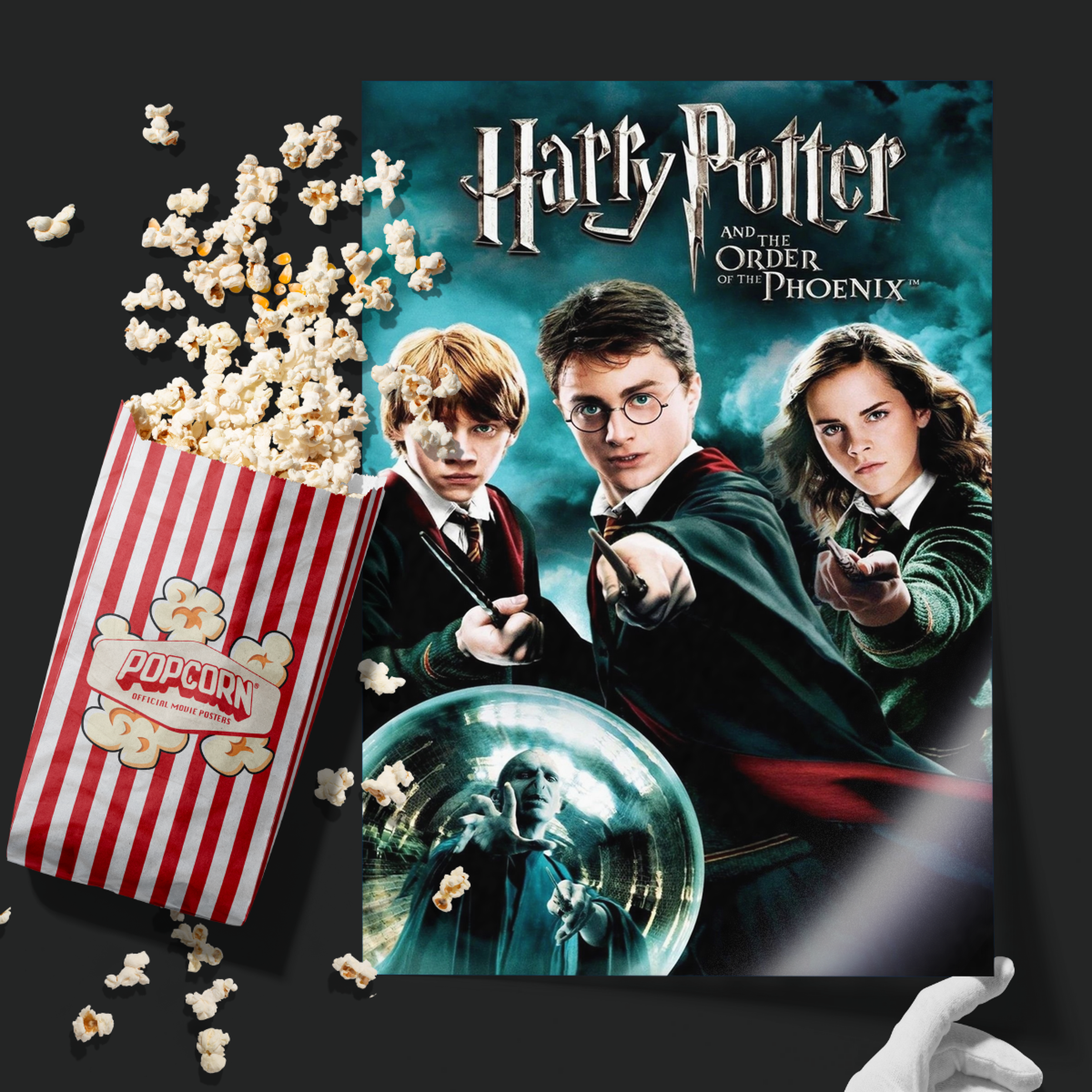 Harry Potter And The Order Of The Phoenix (2007)