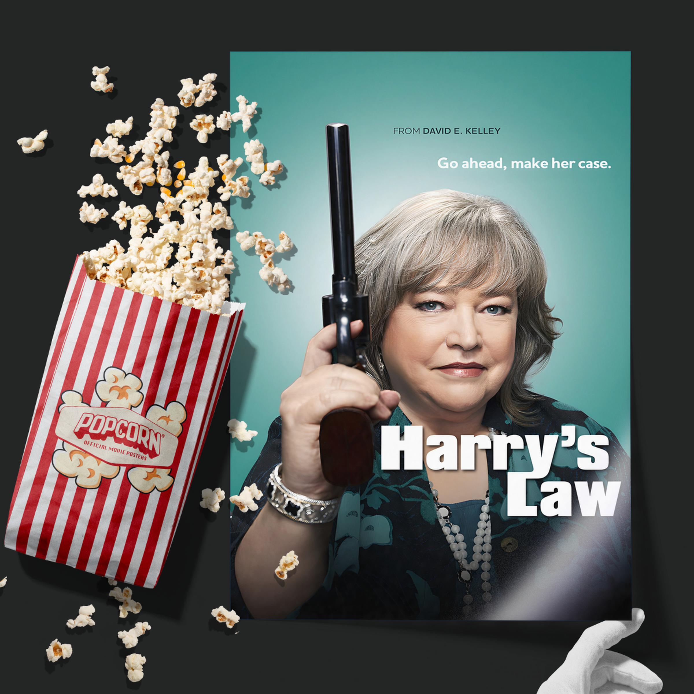 Harry's Law (2011)