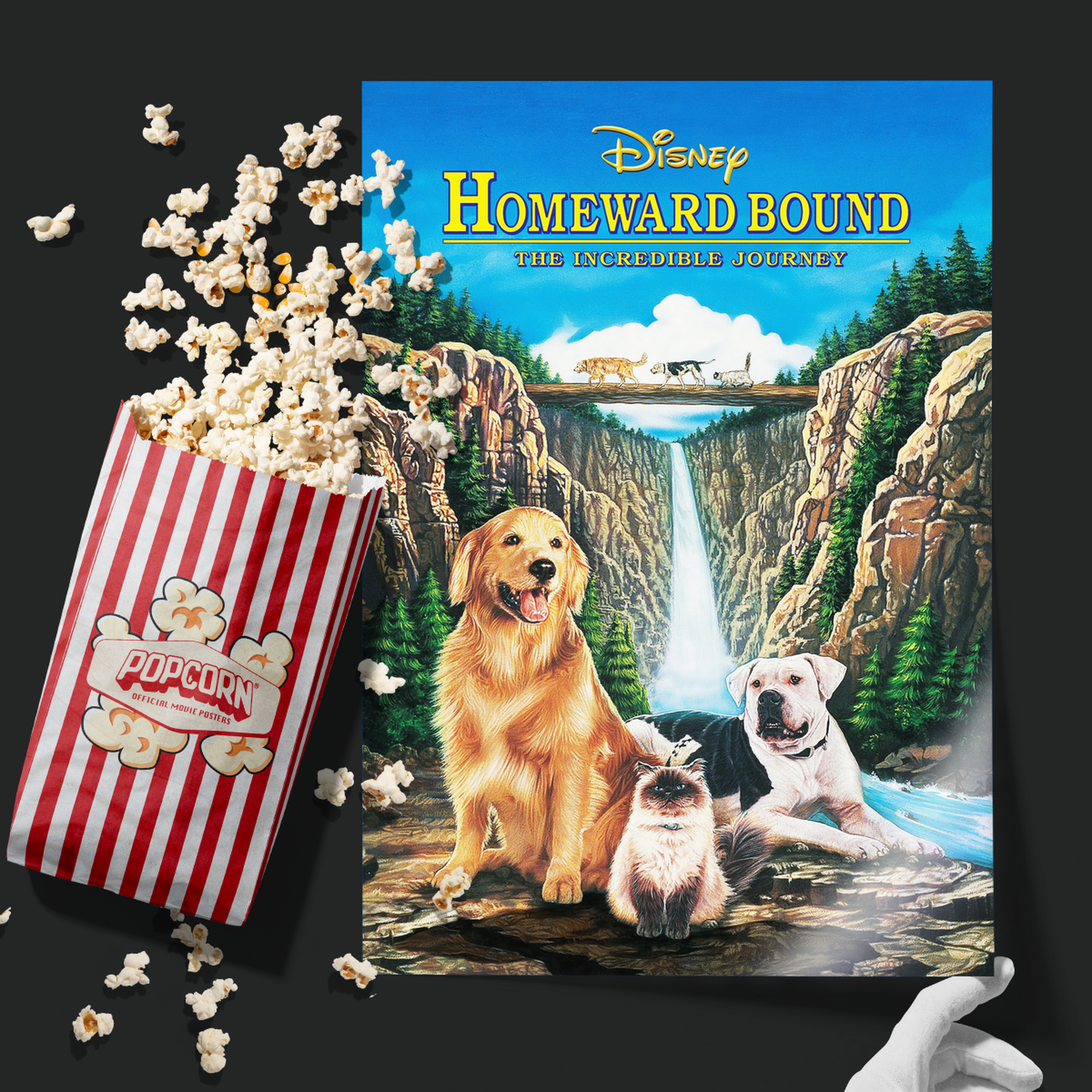 Homeward Bound The Incredible Journey (1993)