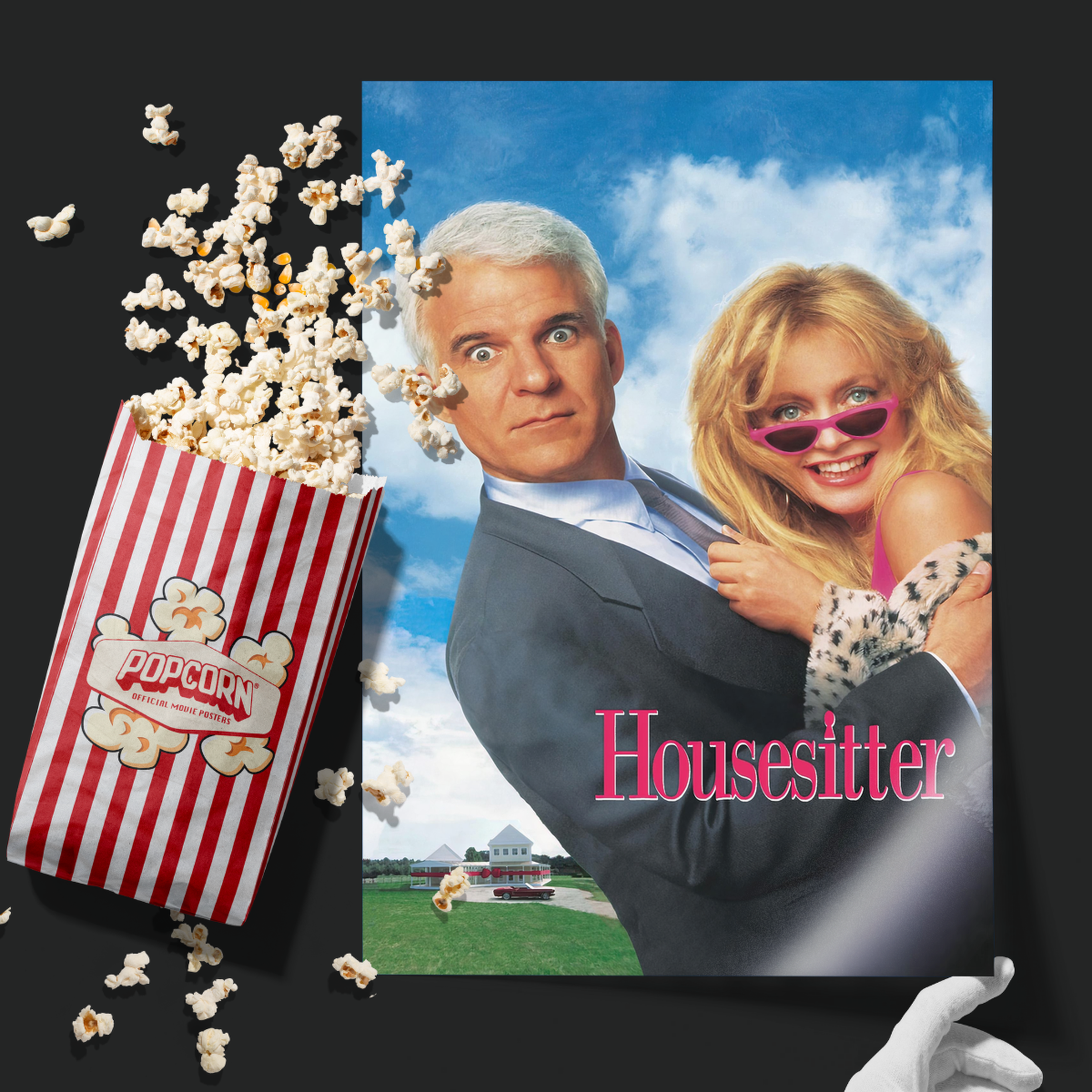 Housesitter (1992)