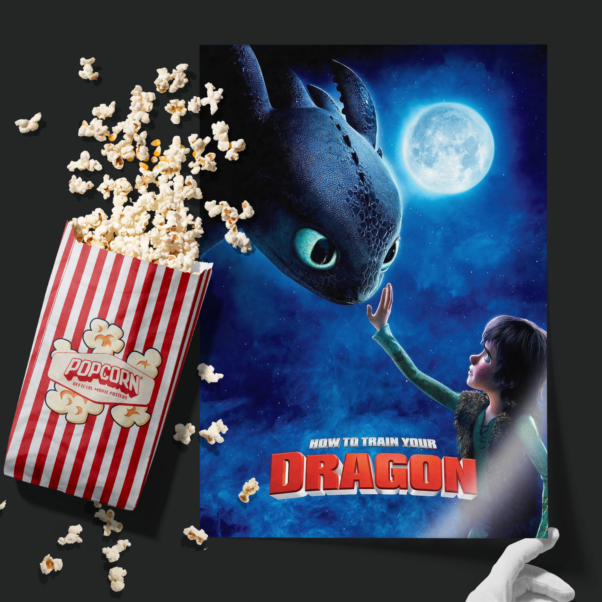 How To Train Your Dragon (2010)