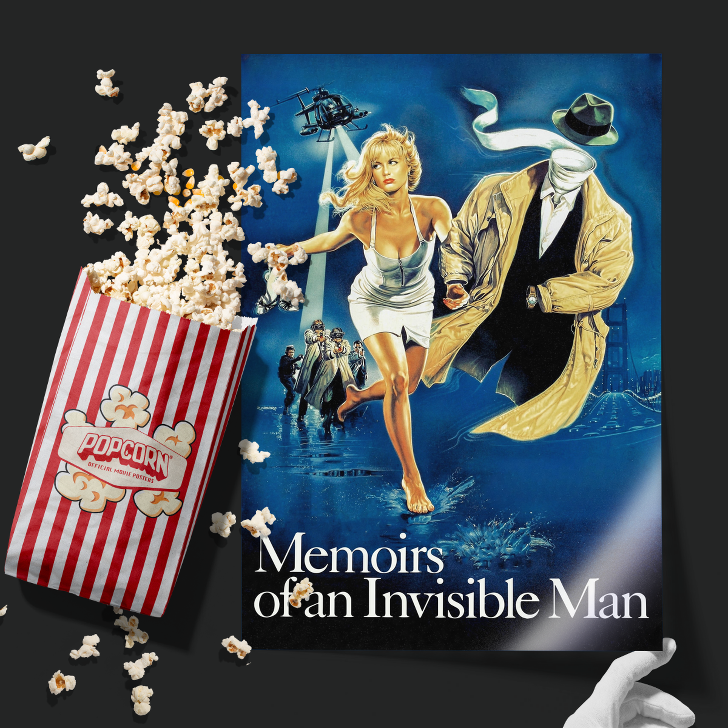 Memoirs Of An Invisible Man (1992)