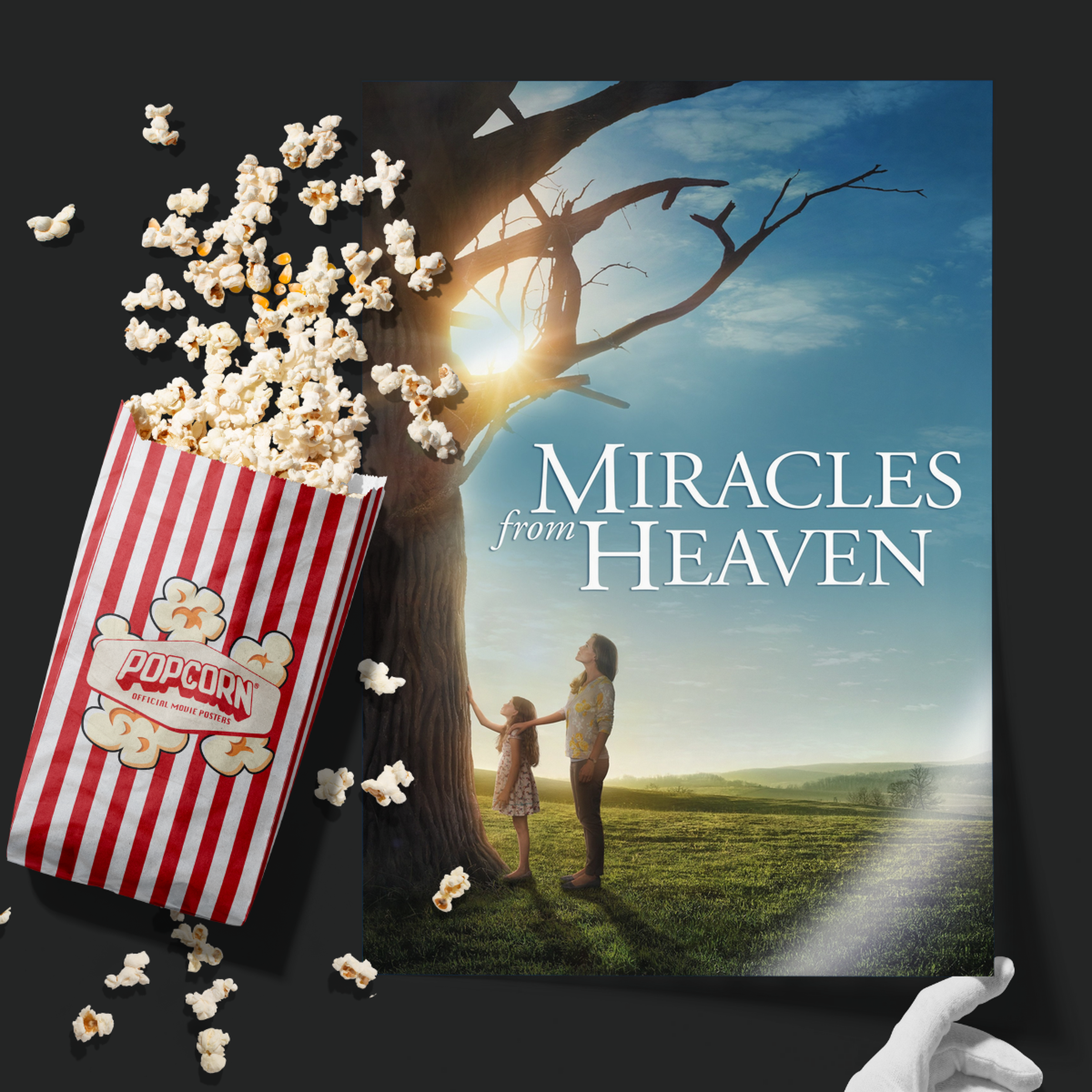 Miracles From Heaven (2016)