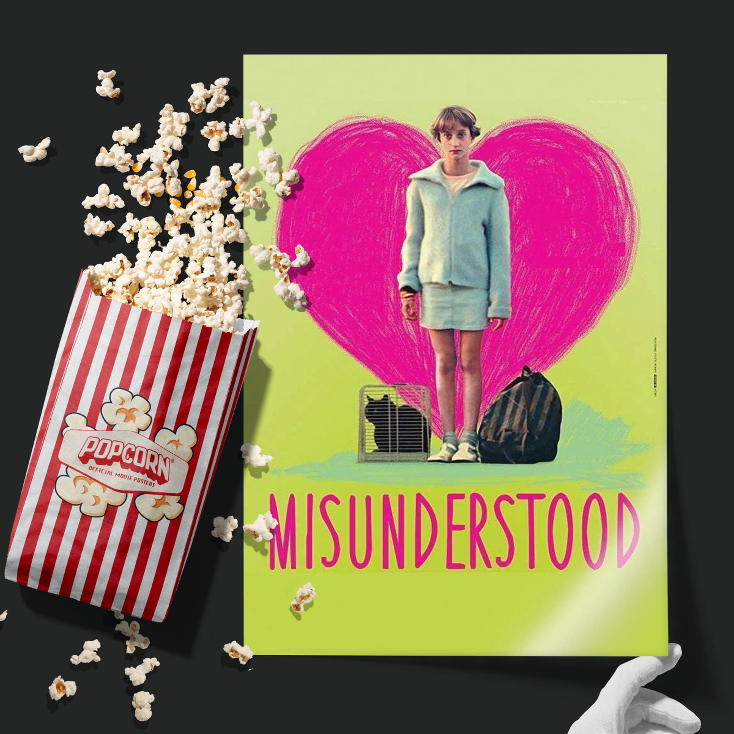 Misunderstood (2014)
