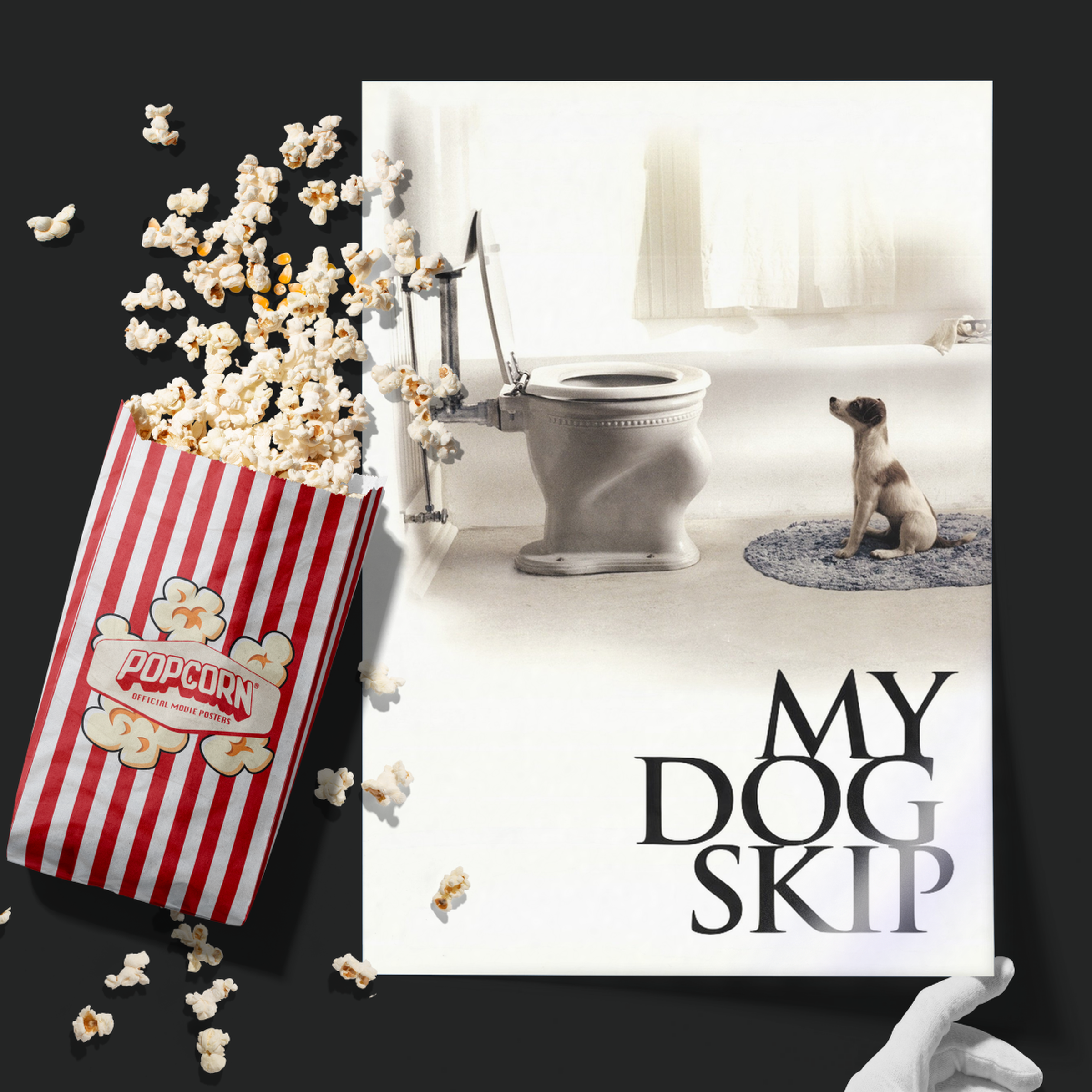 My Dog Skip (2000)