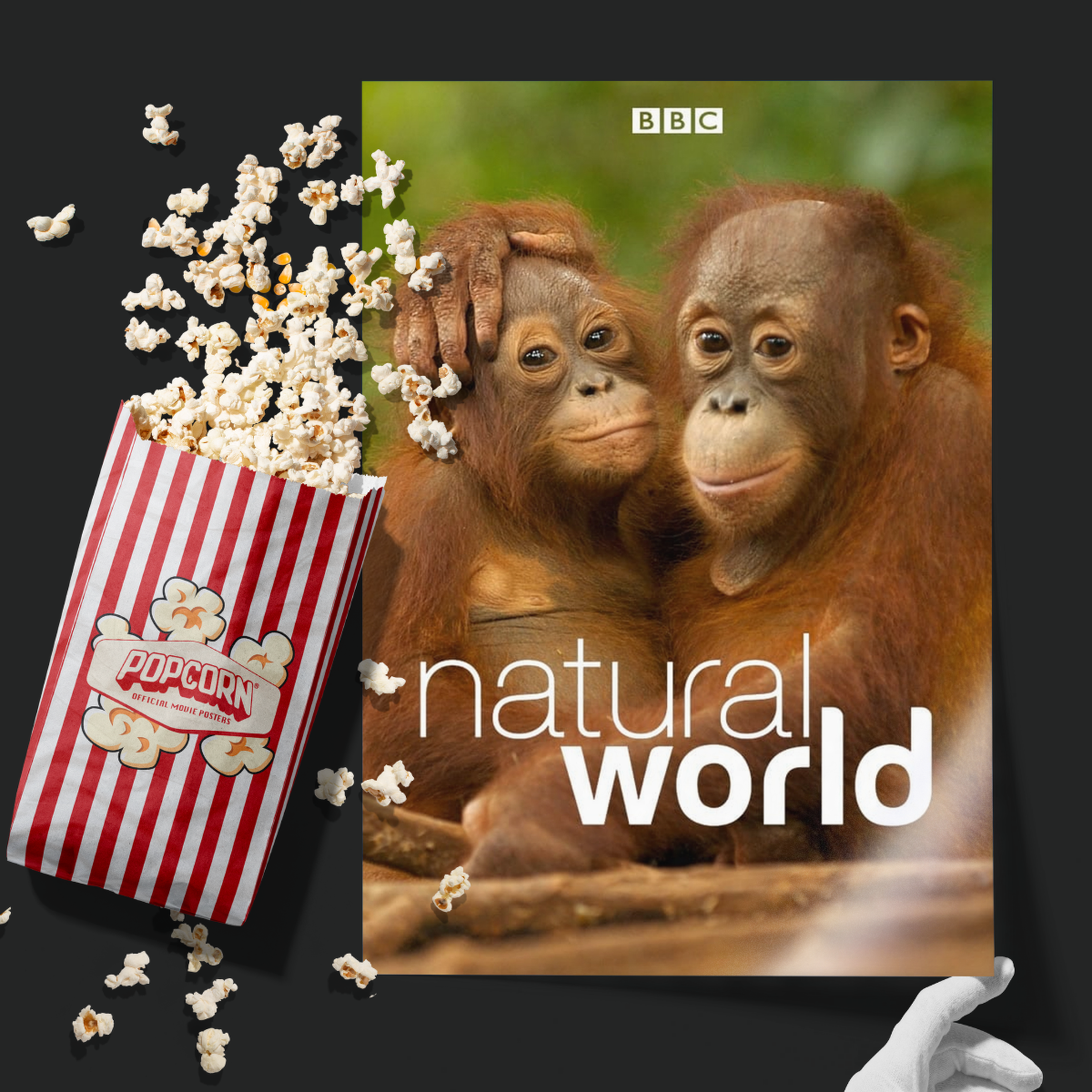 Natural World (1983)